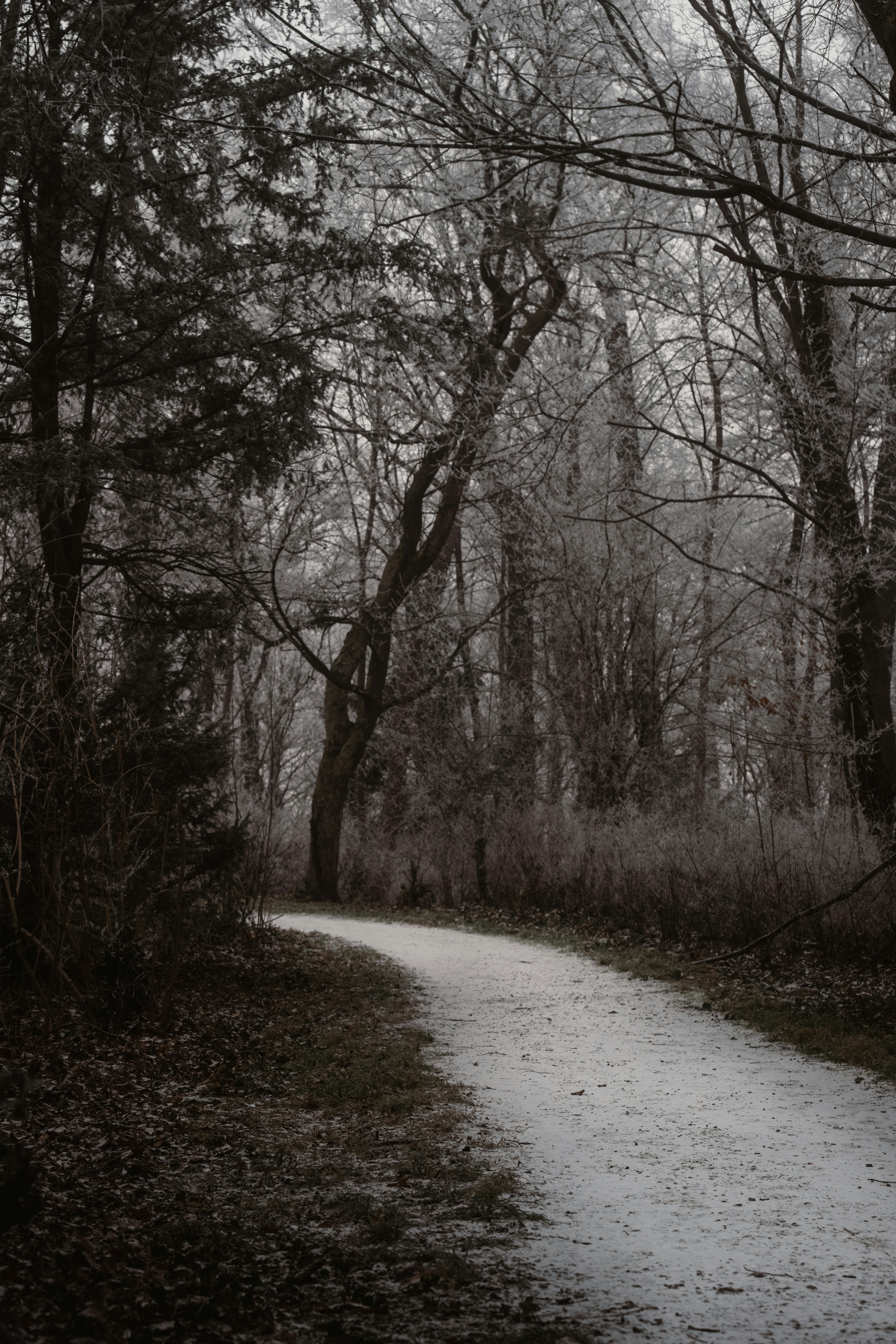 The Last Spooky Story