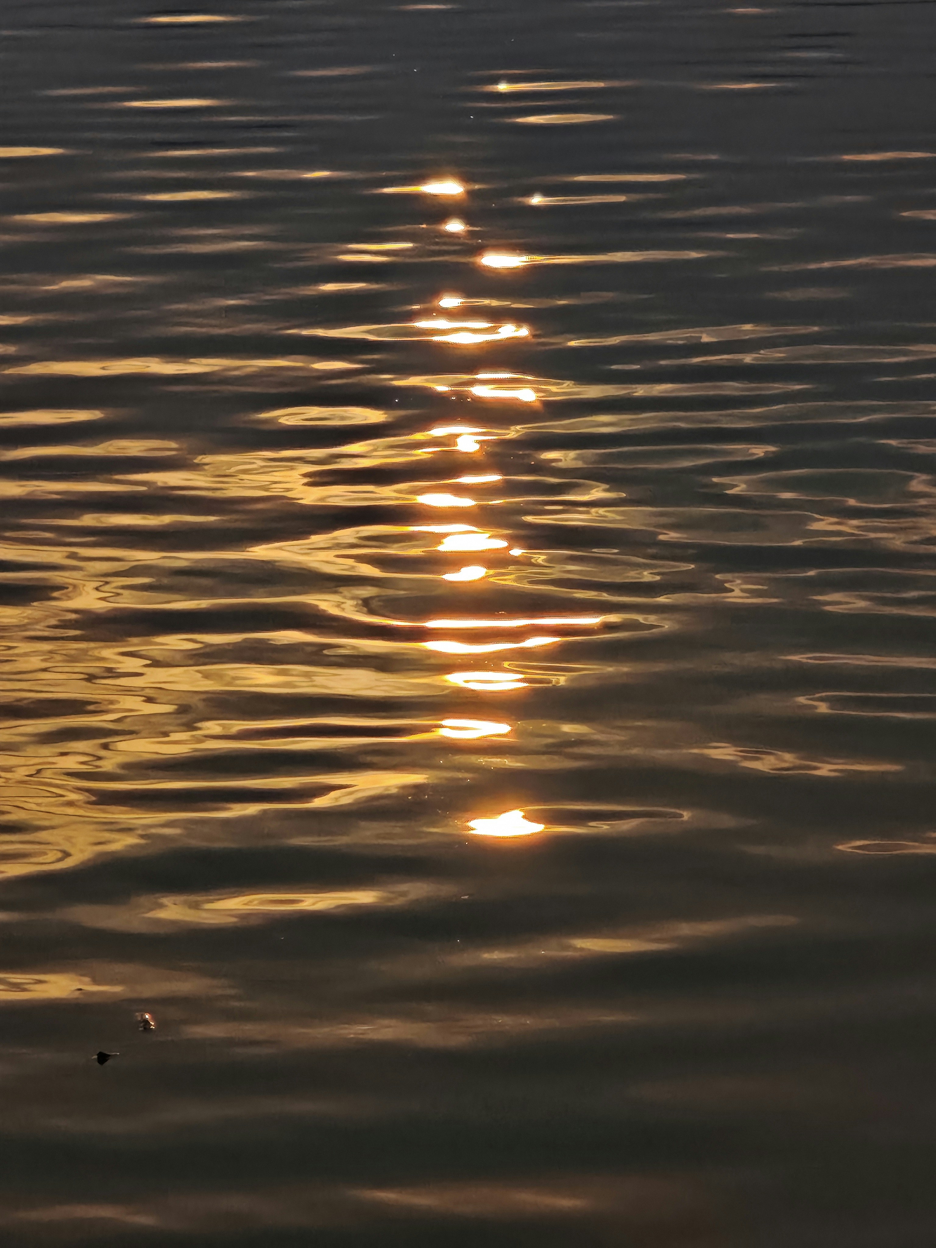 Photo by robertchen13