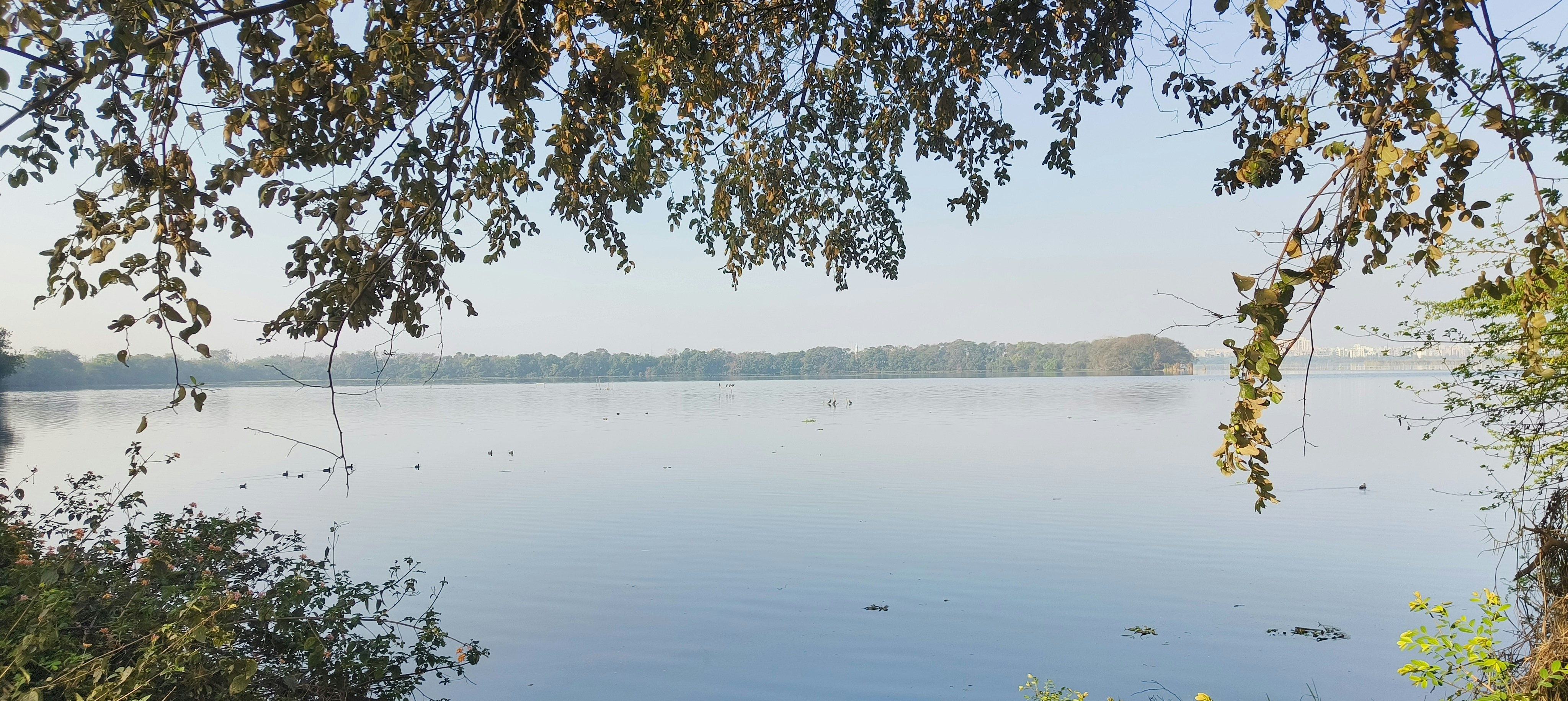 Photo by anilgstudio