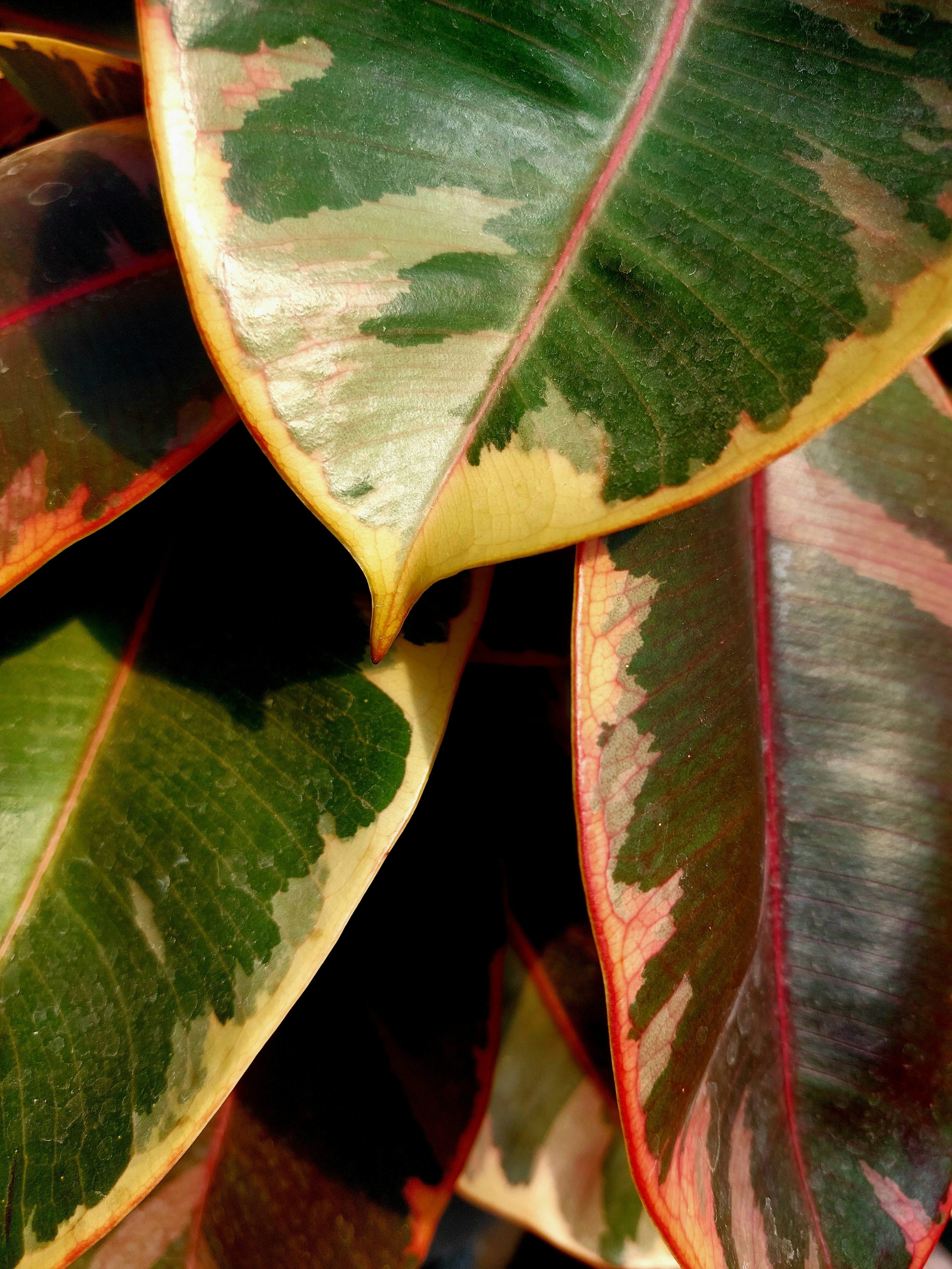 Photo by anahita_honarasa