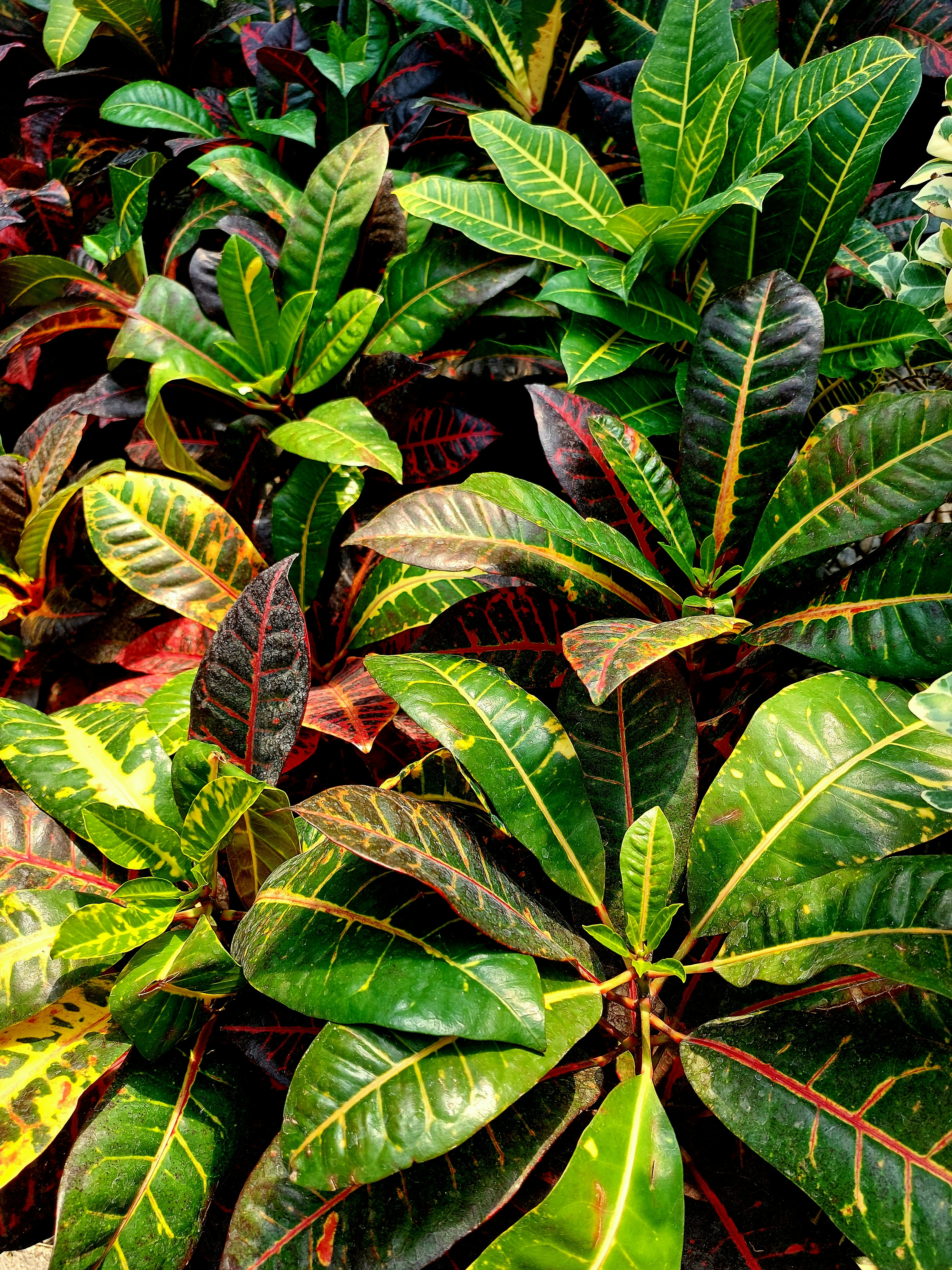 Photo by anahita_honarasa