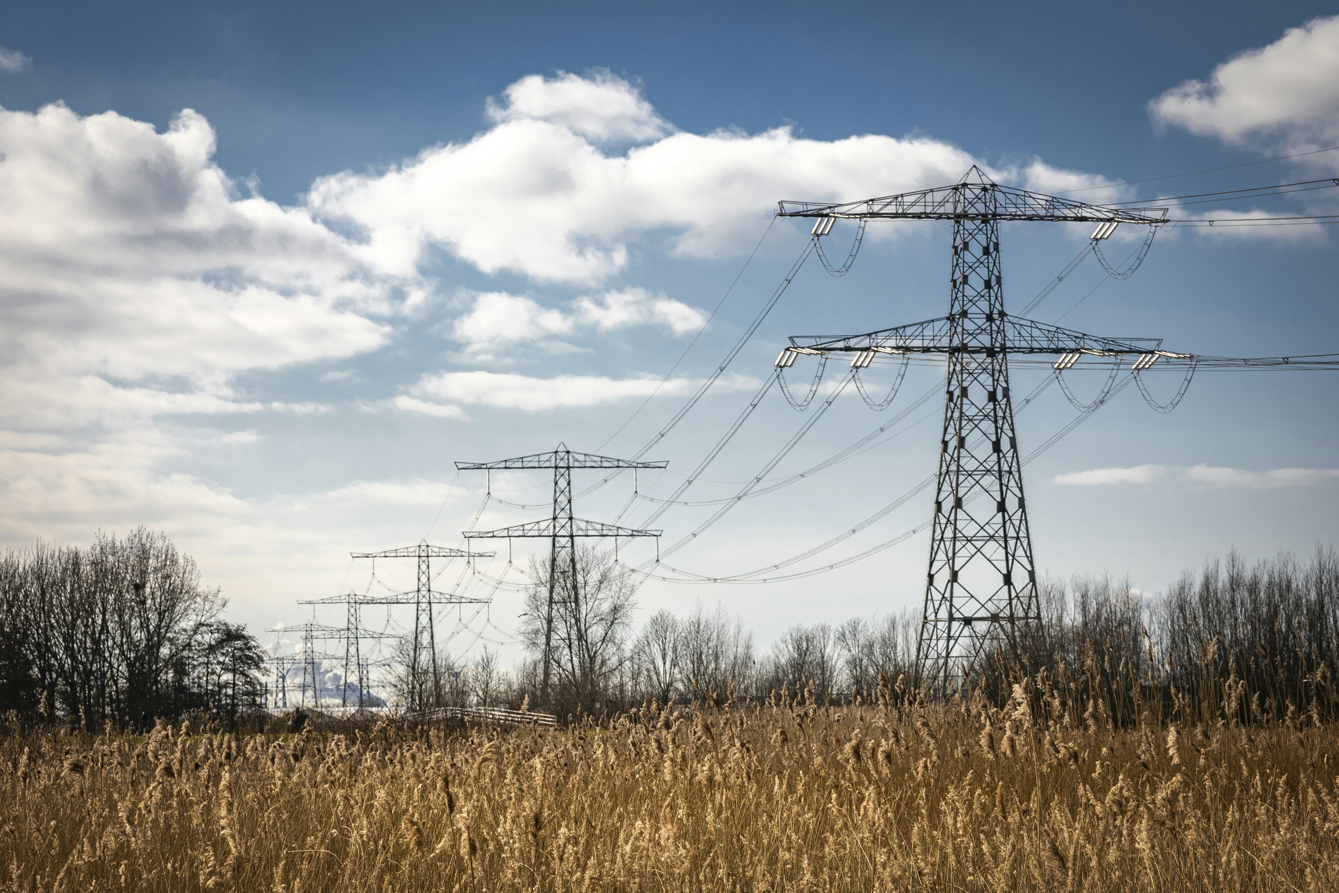 Afbeelding van Pijnacker