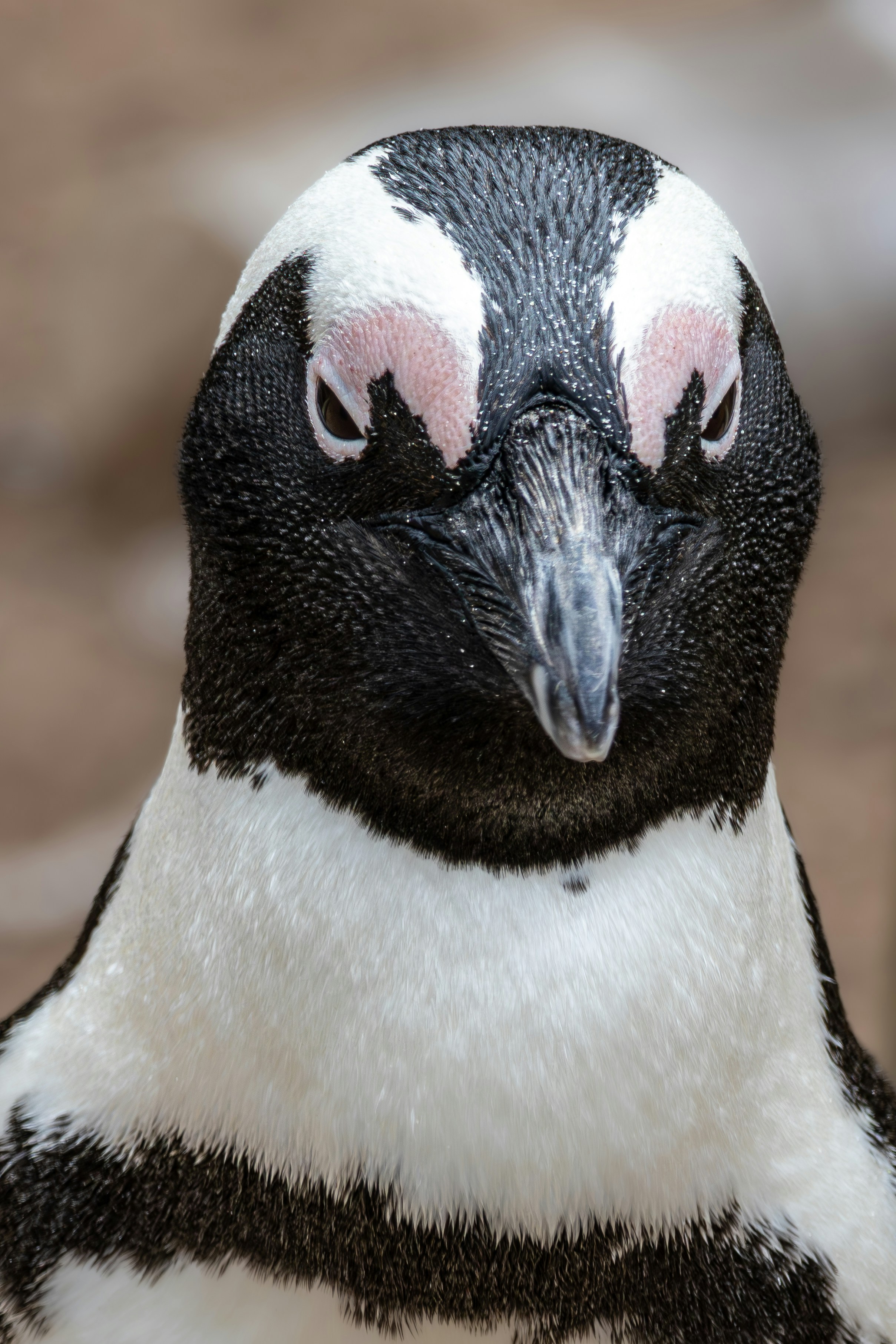 Photo by hendrikprinsza