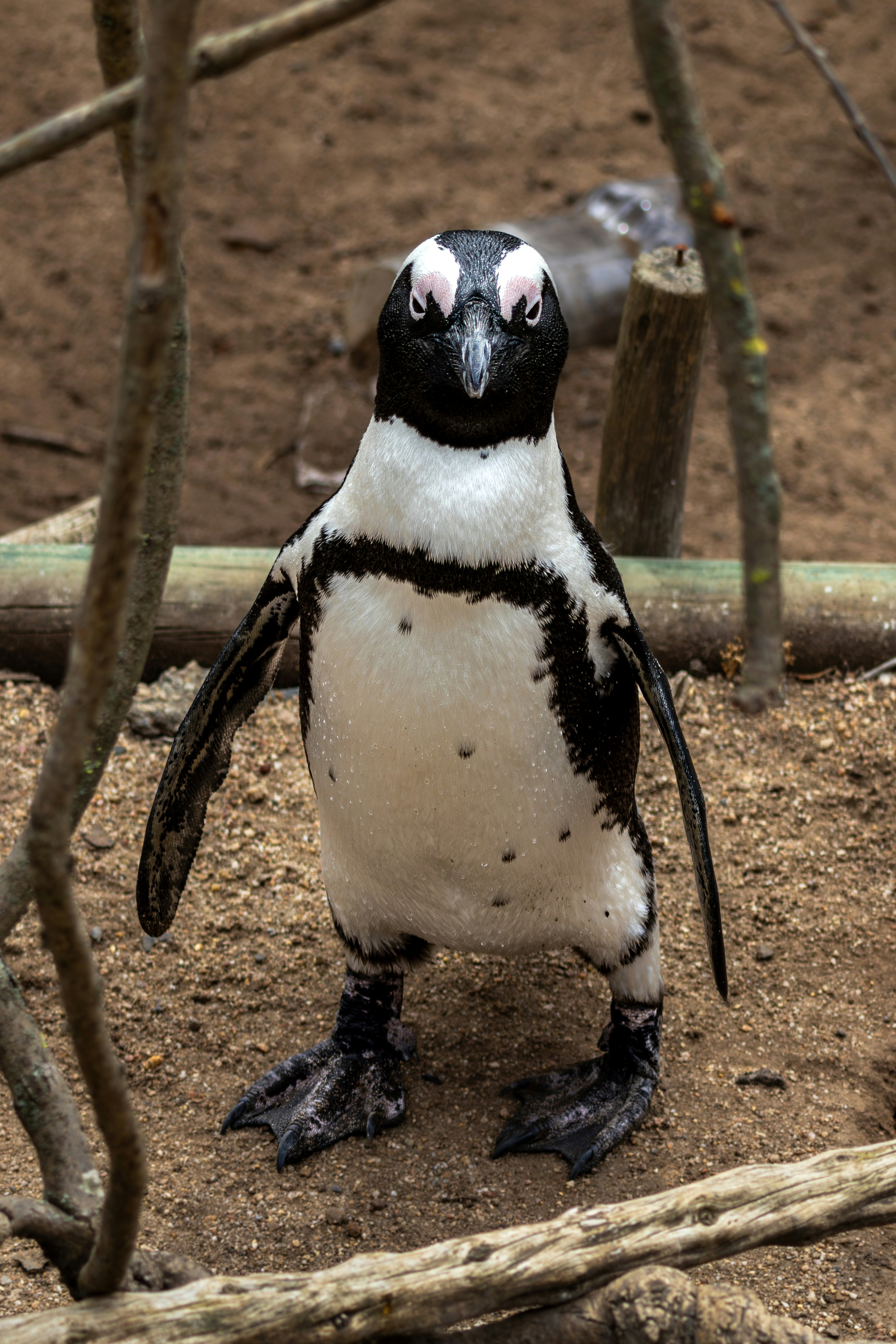 Photo by hendrikprinsza