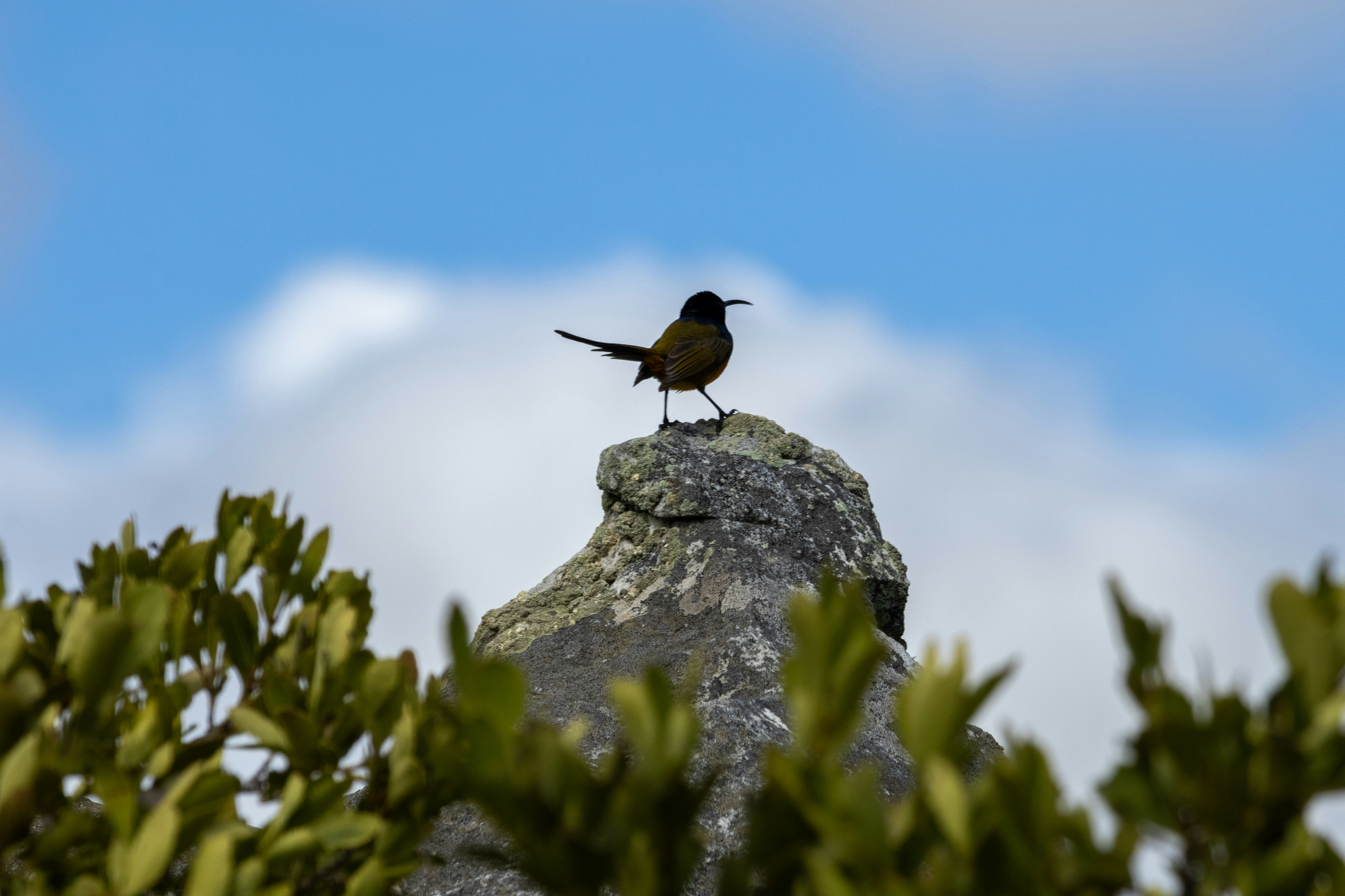 Photo by hendrikprinsza