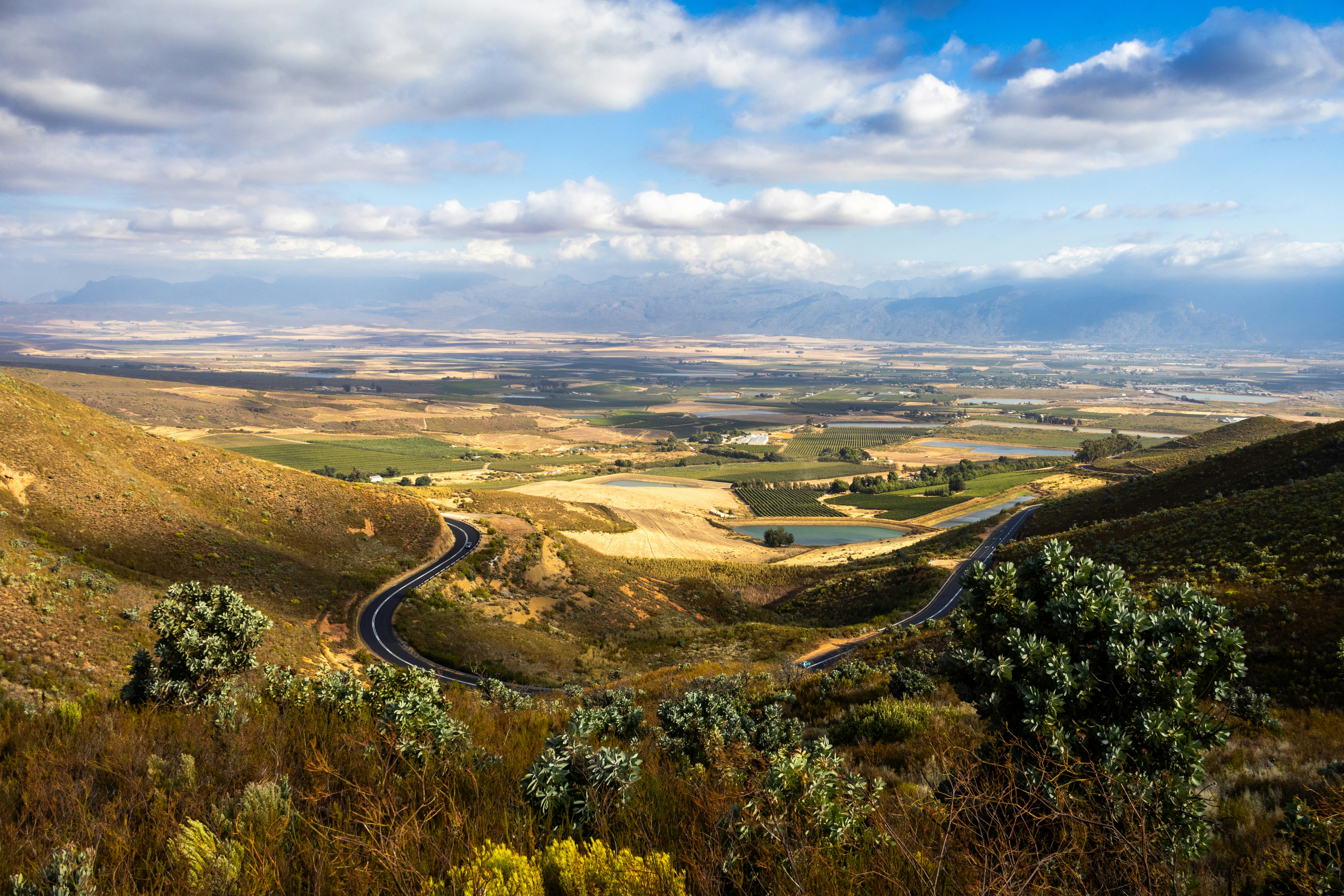 Photo by hendrikprinsza