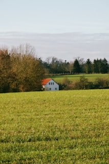 A house sits peacefully in a green field.