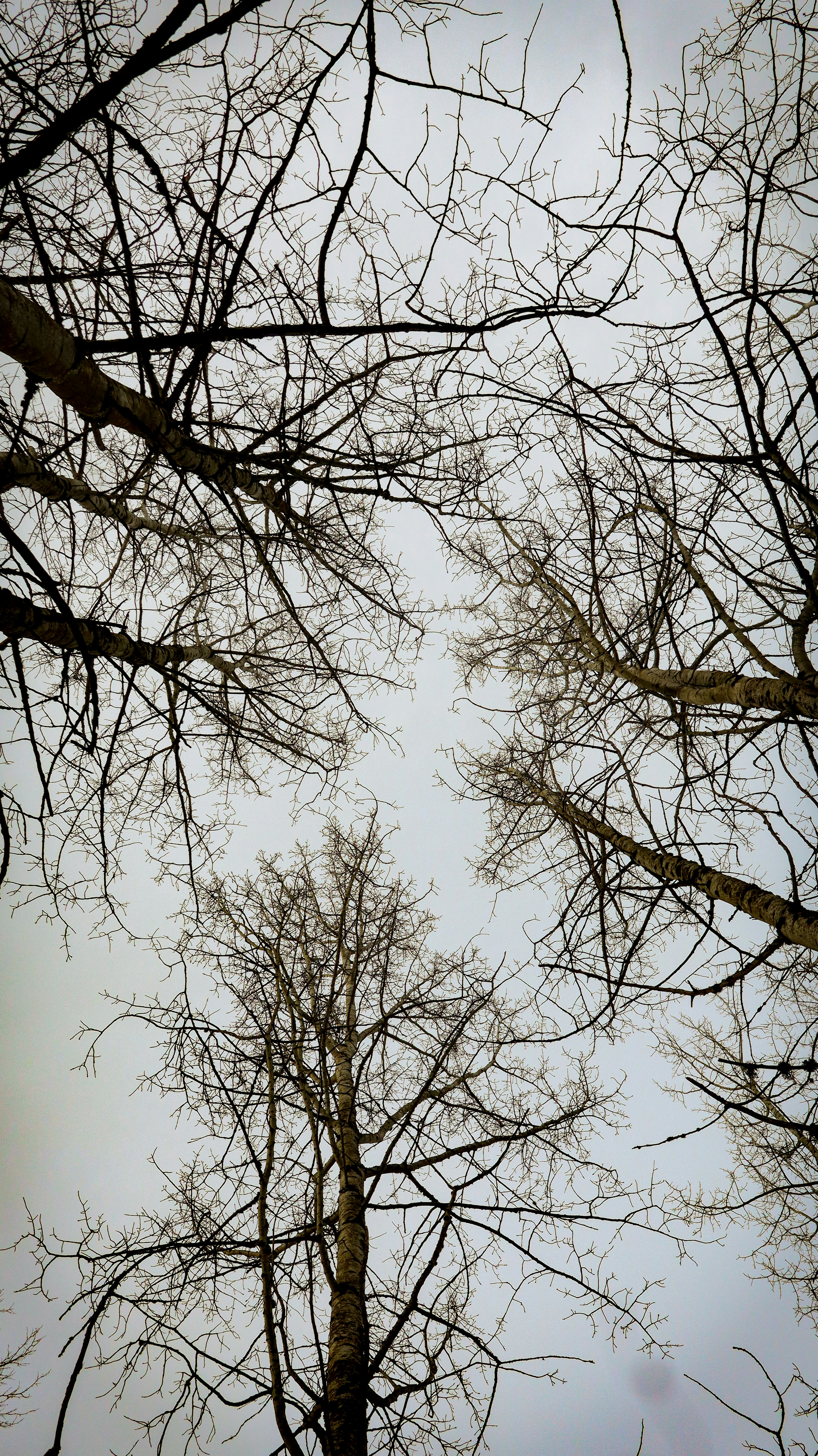 Photo by bladeoftakumi