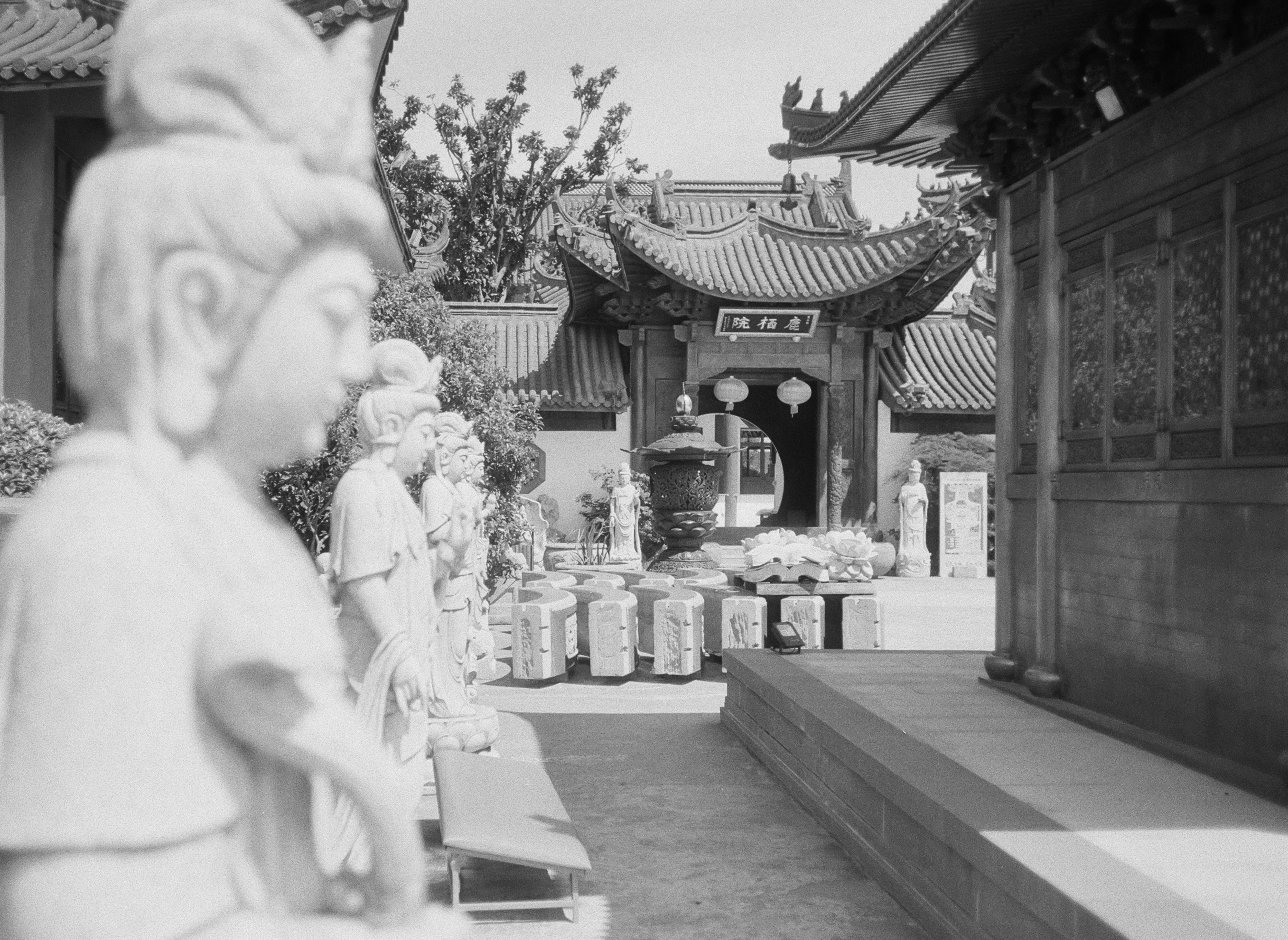 Photo by geraltyichen