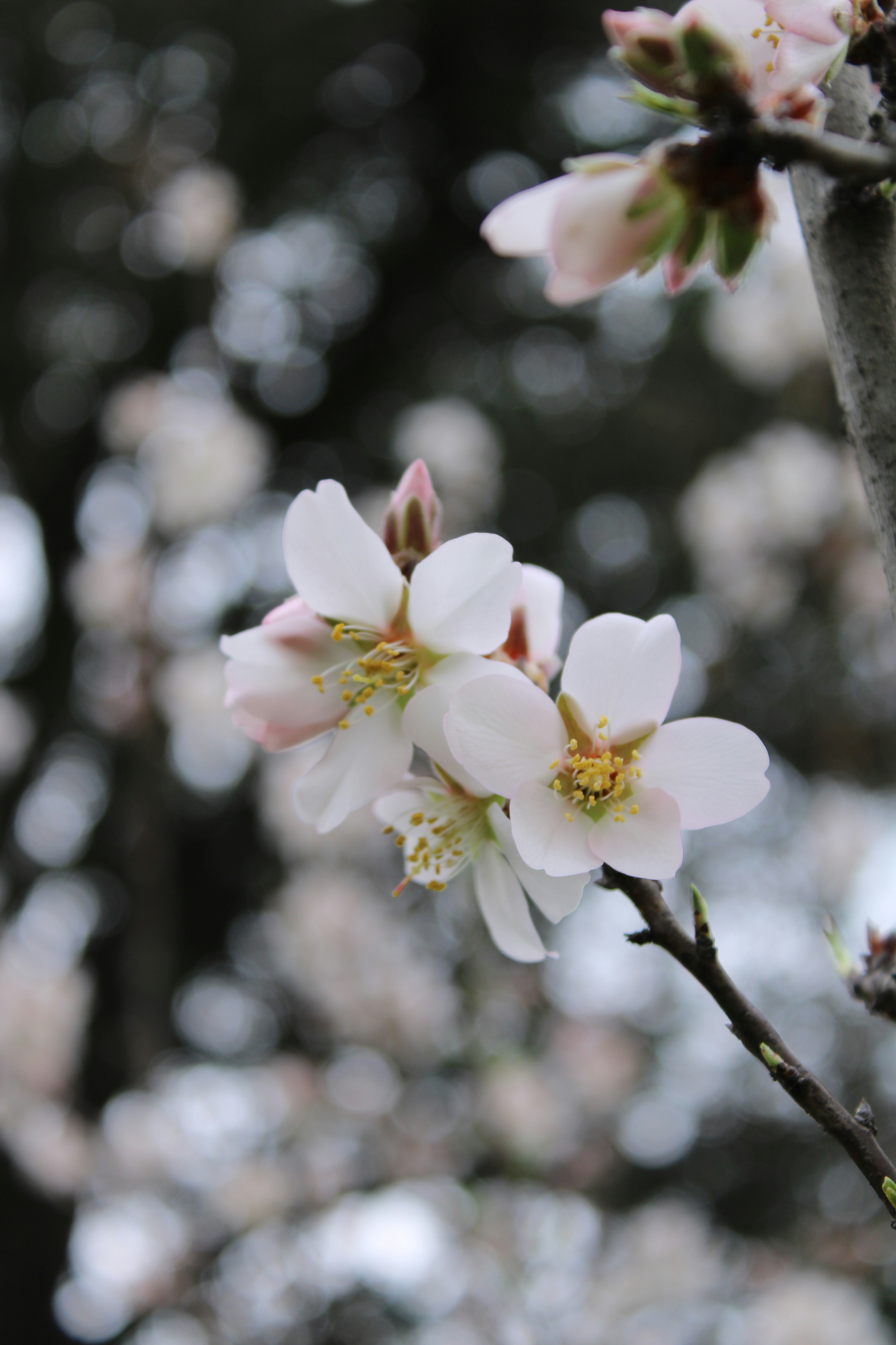 Photo by holymayrytaylor