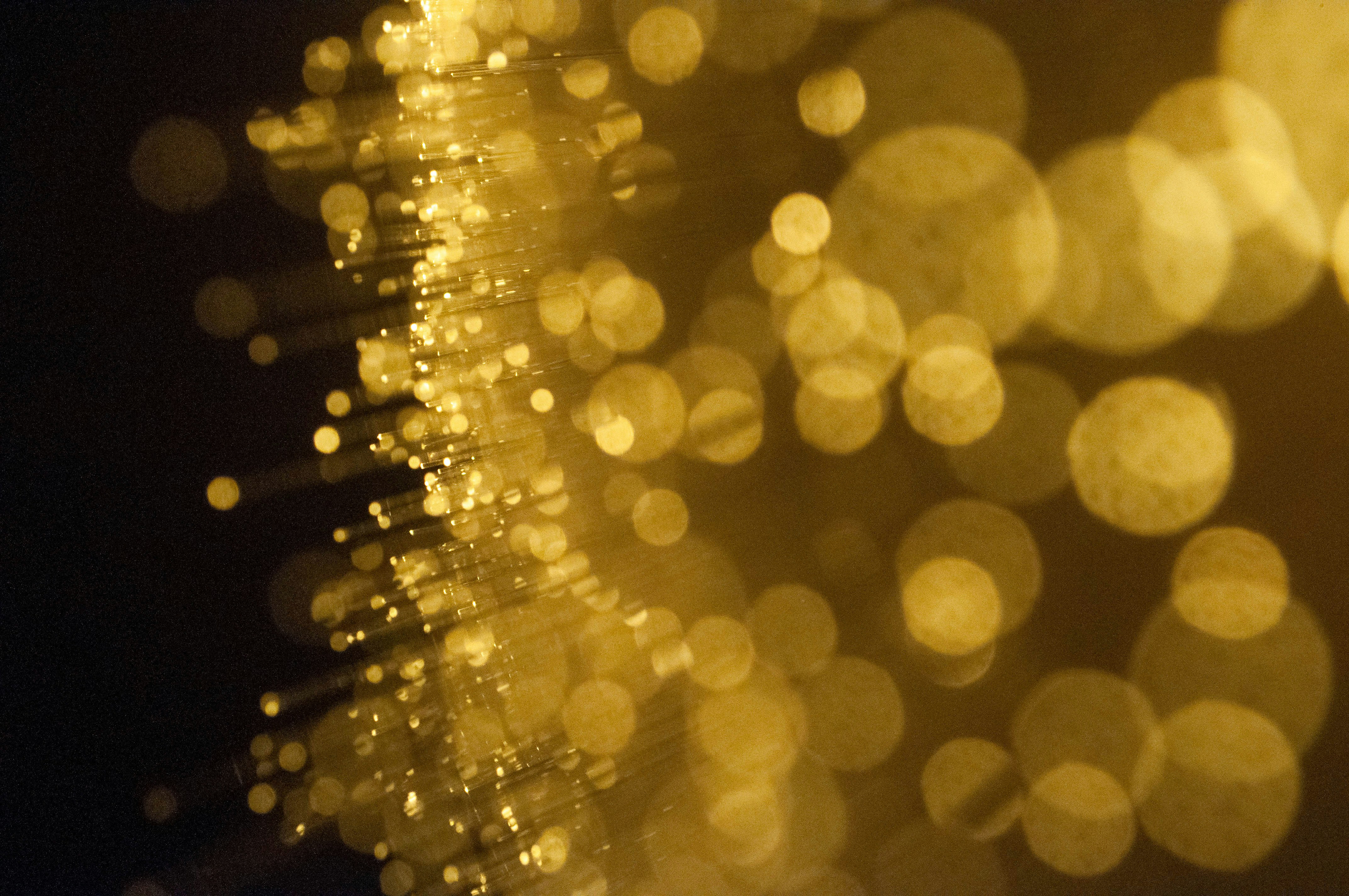 wedding celebration bokeh, wallpaper, Surprise Wedding Performance: A Memorable Gift 5