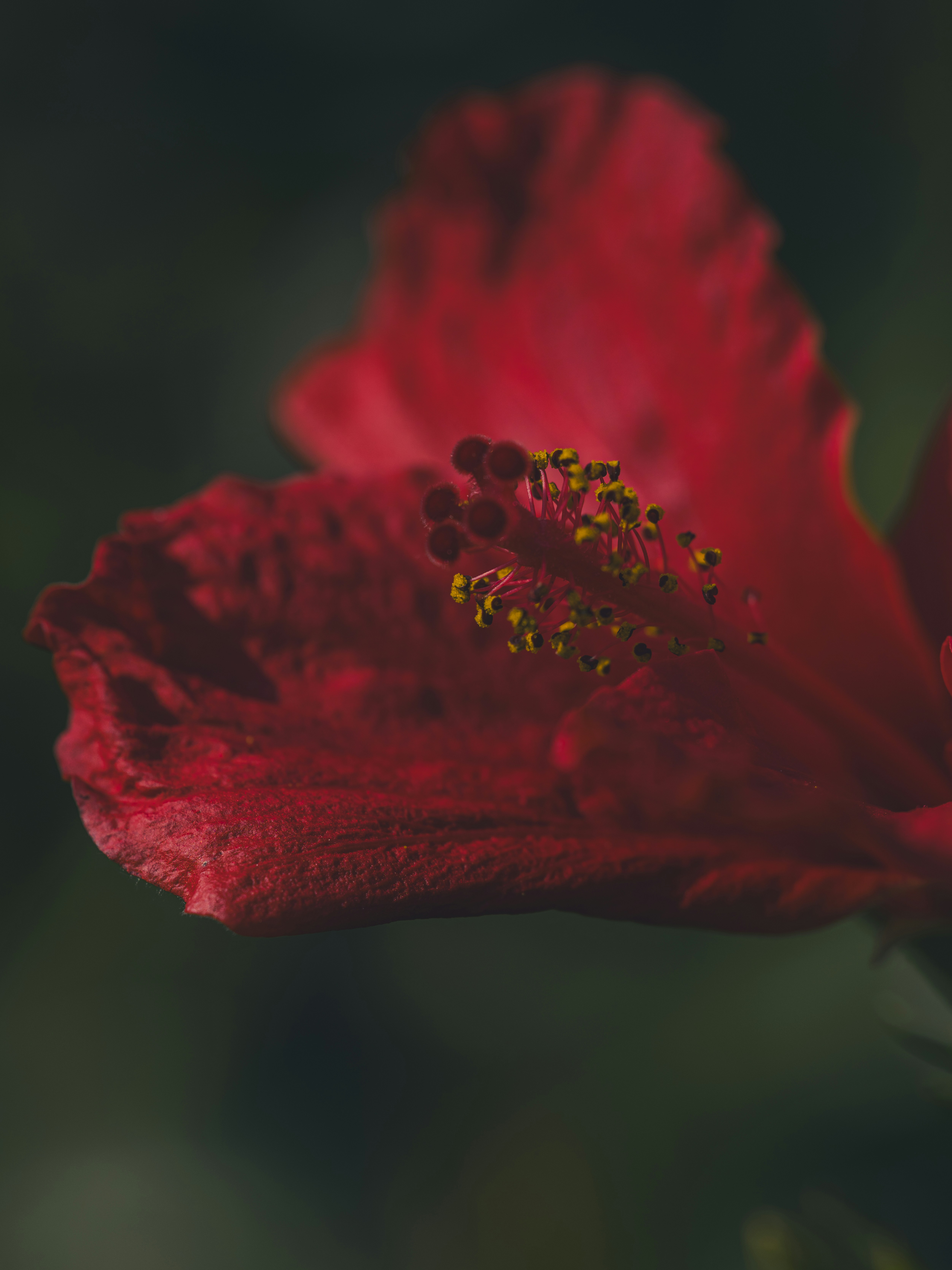 Photo by enginakyurt