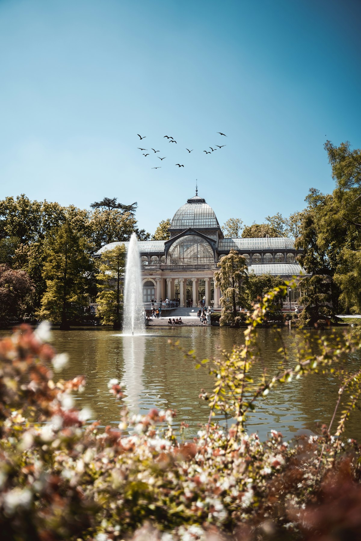 Salamanca Madrid — elegant wide boulevard in the upscale barrio