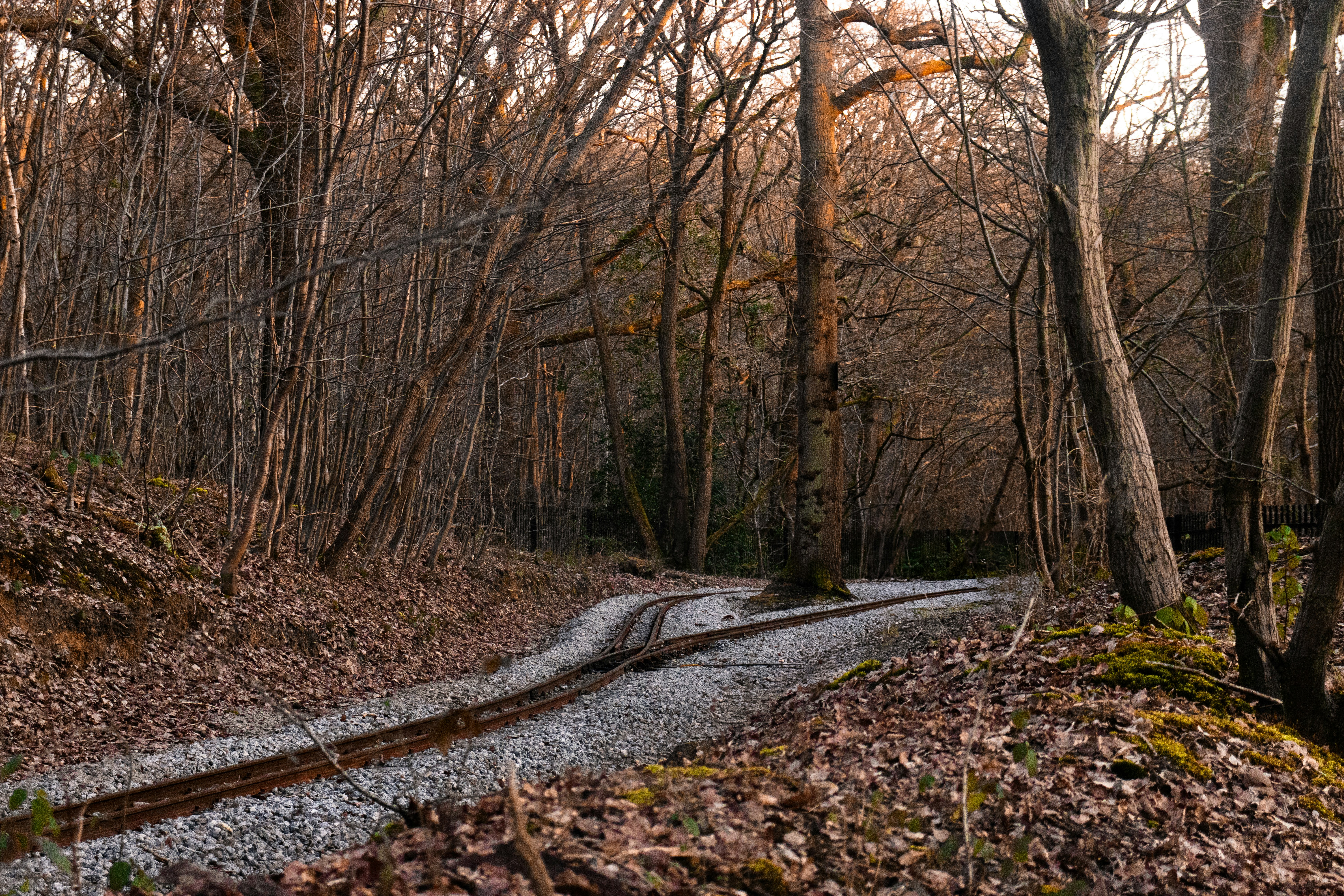 Photo by b_square_02