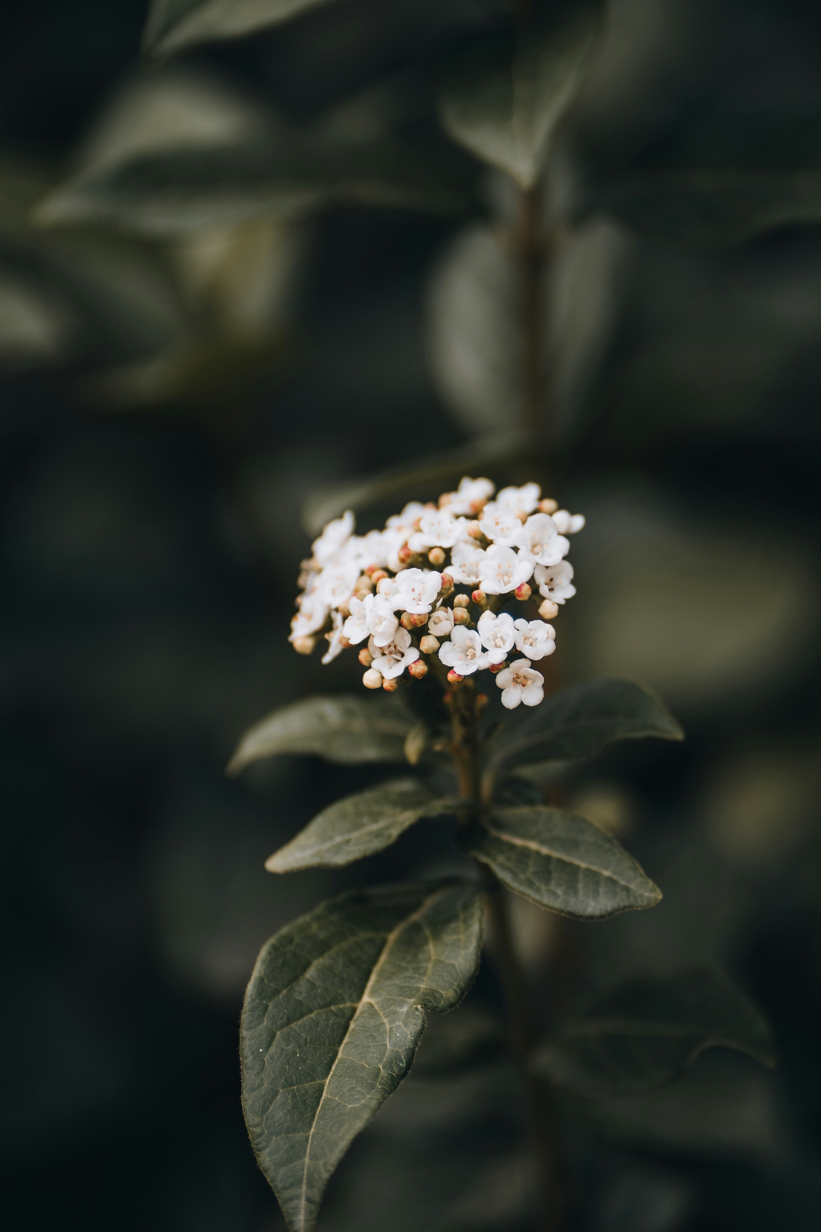 Photo by renate_dreyer