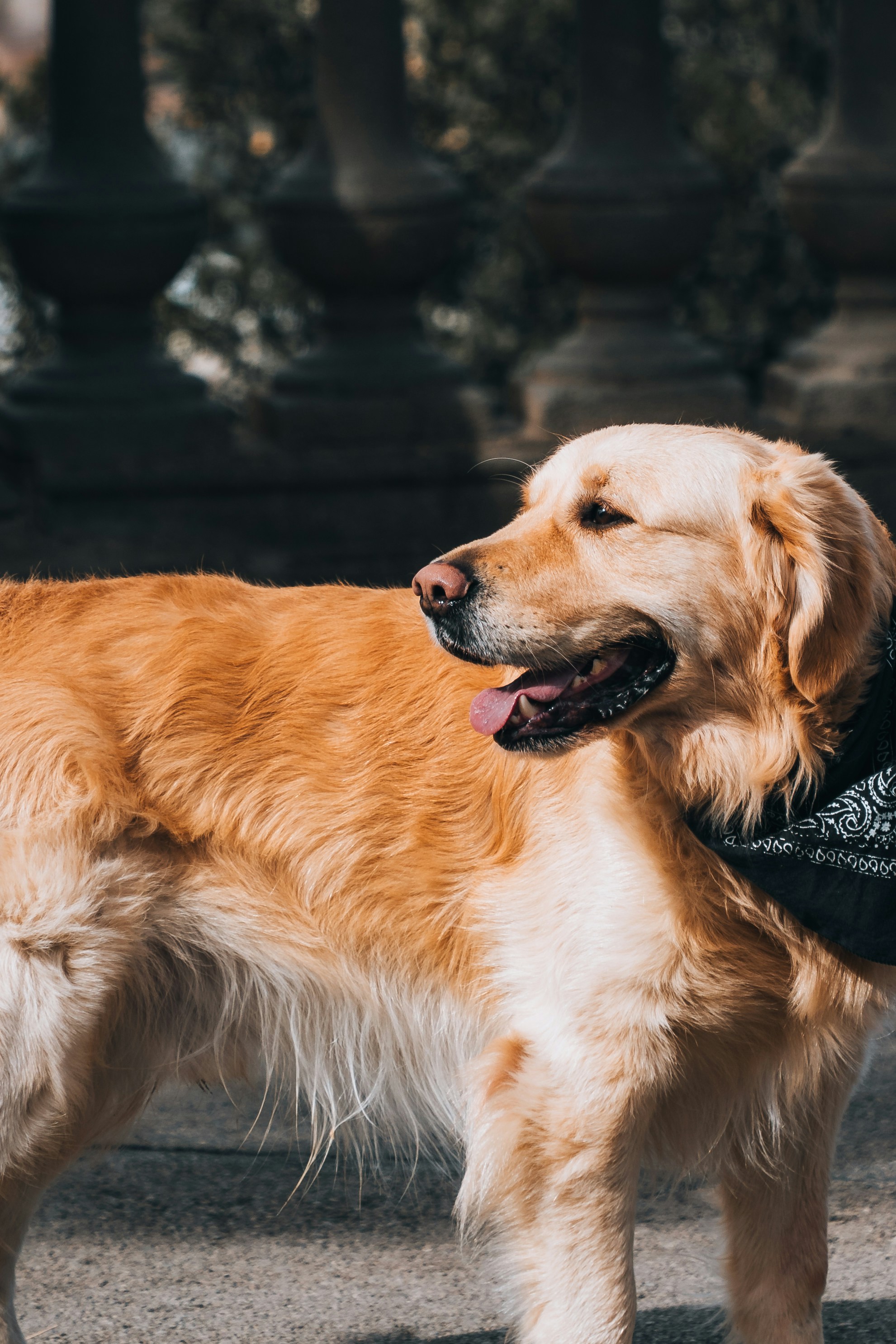 Photo by renate_dreyer