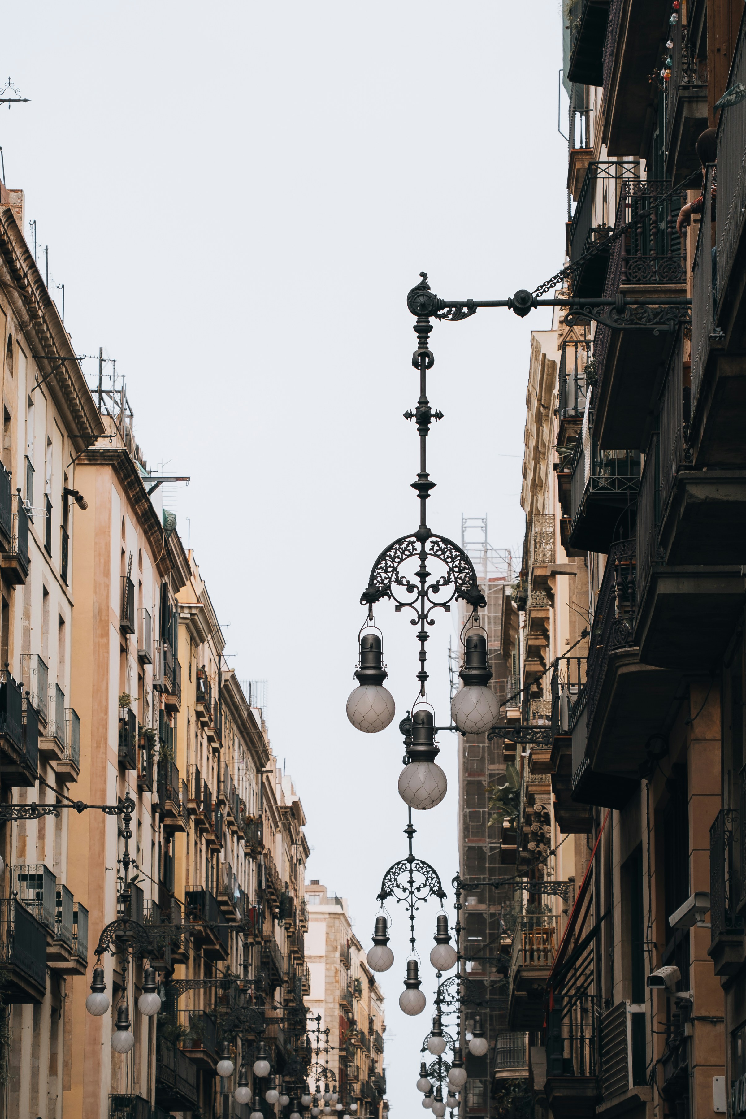 Photo by renate_dreyer