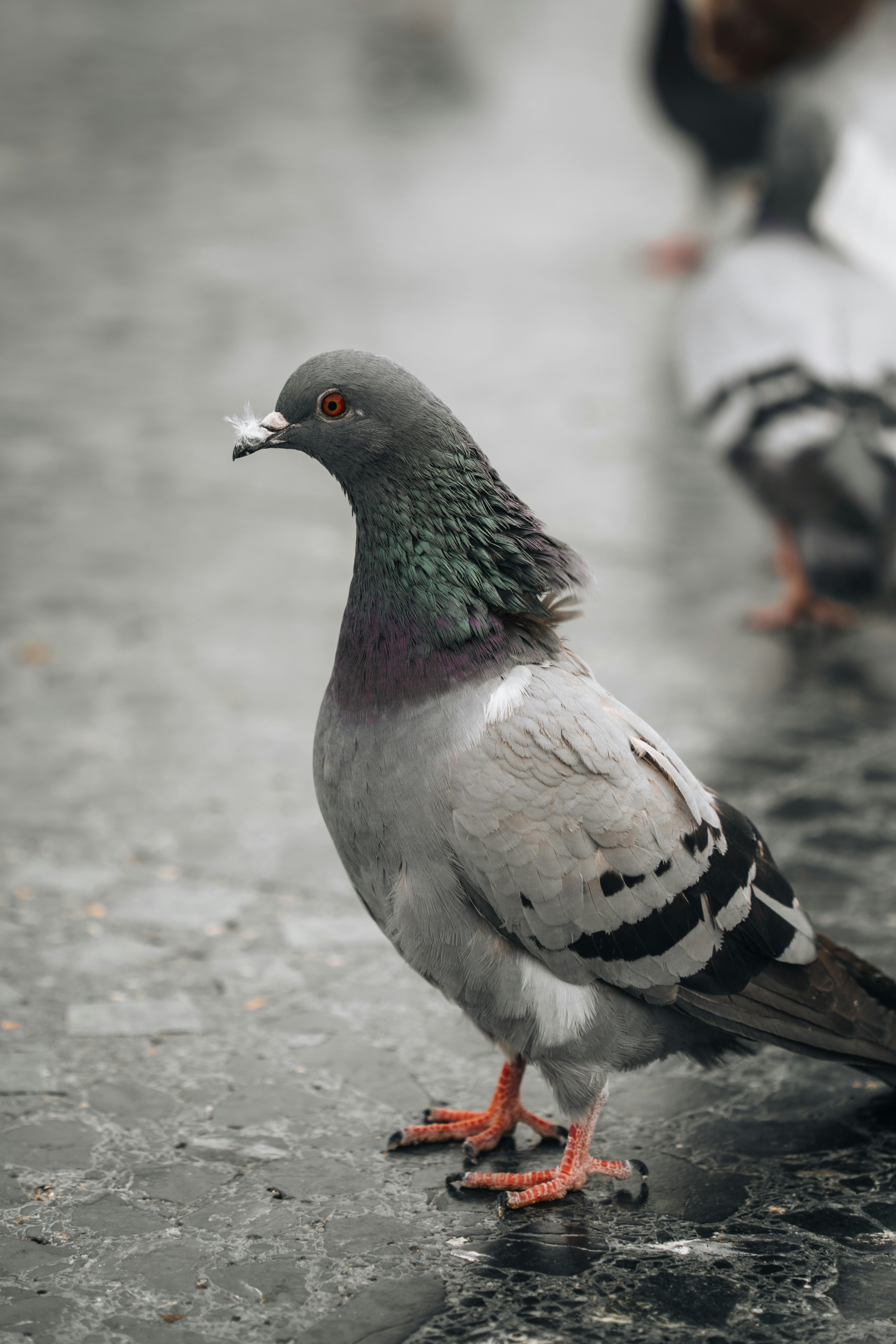 Photo by renate_dreyer