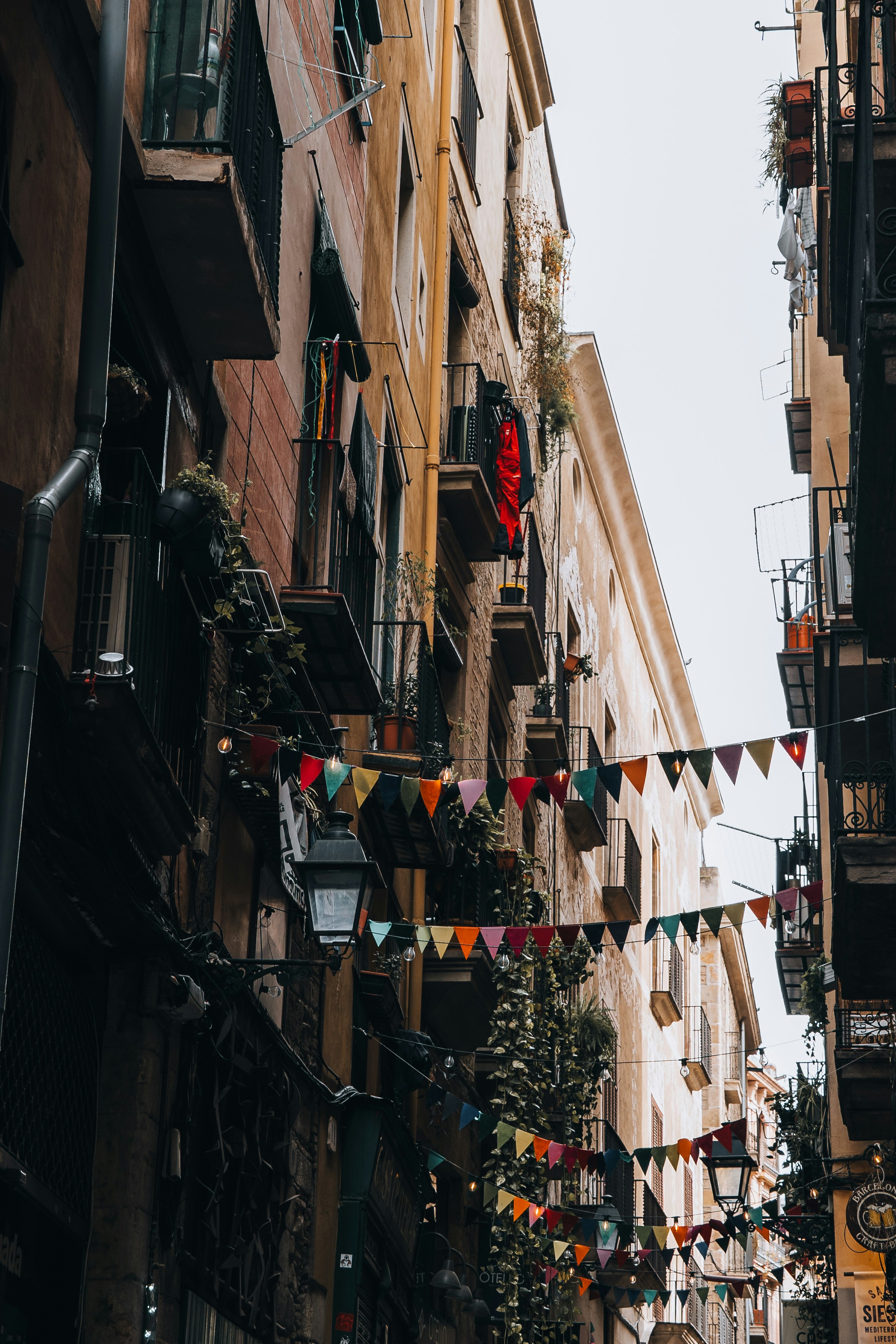 Photo by renate_dreyer