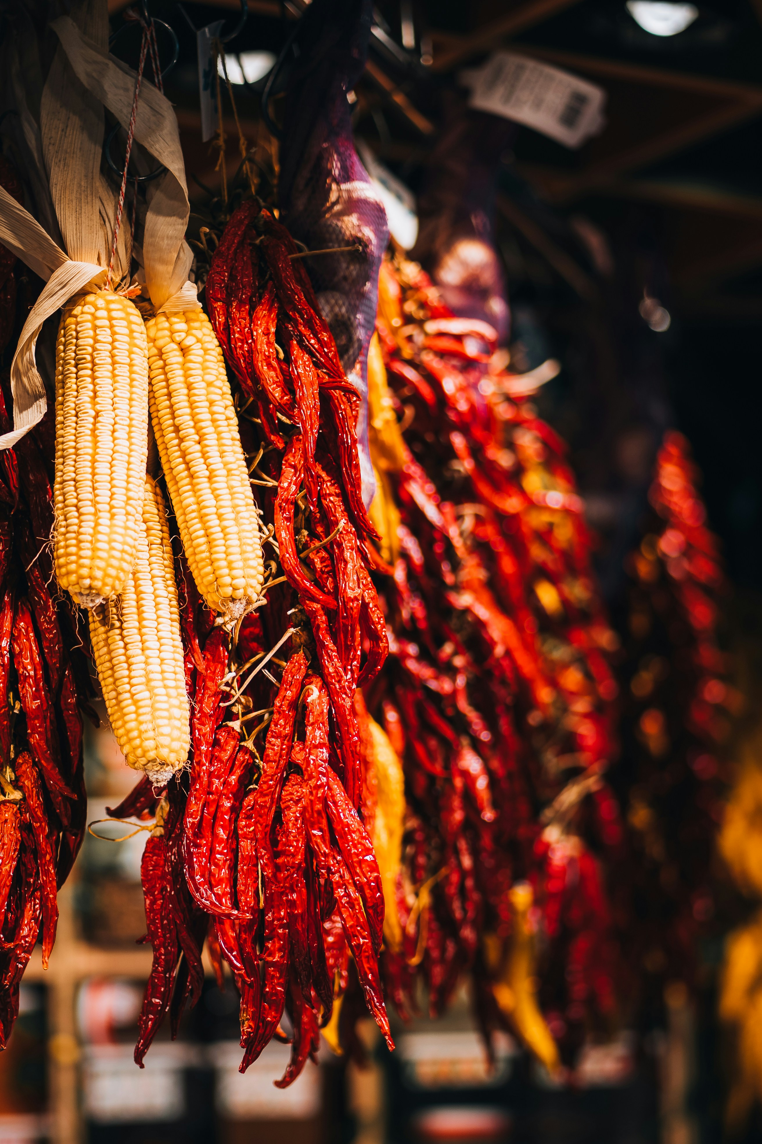 Ceramic and Pottery Studios