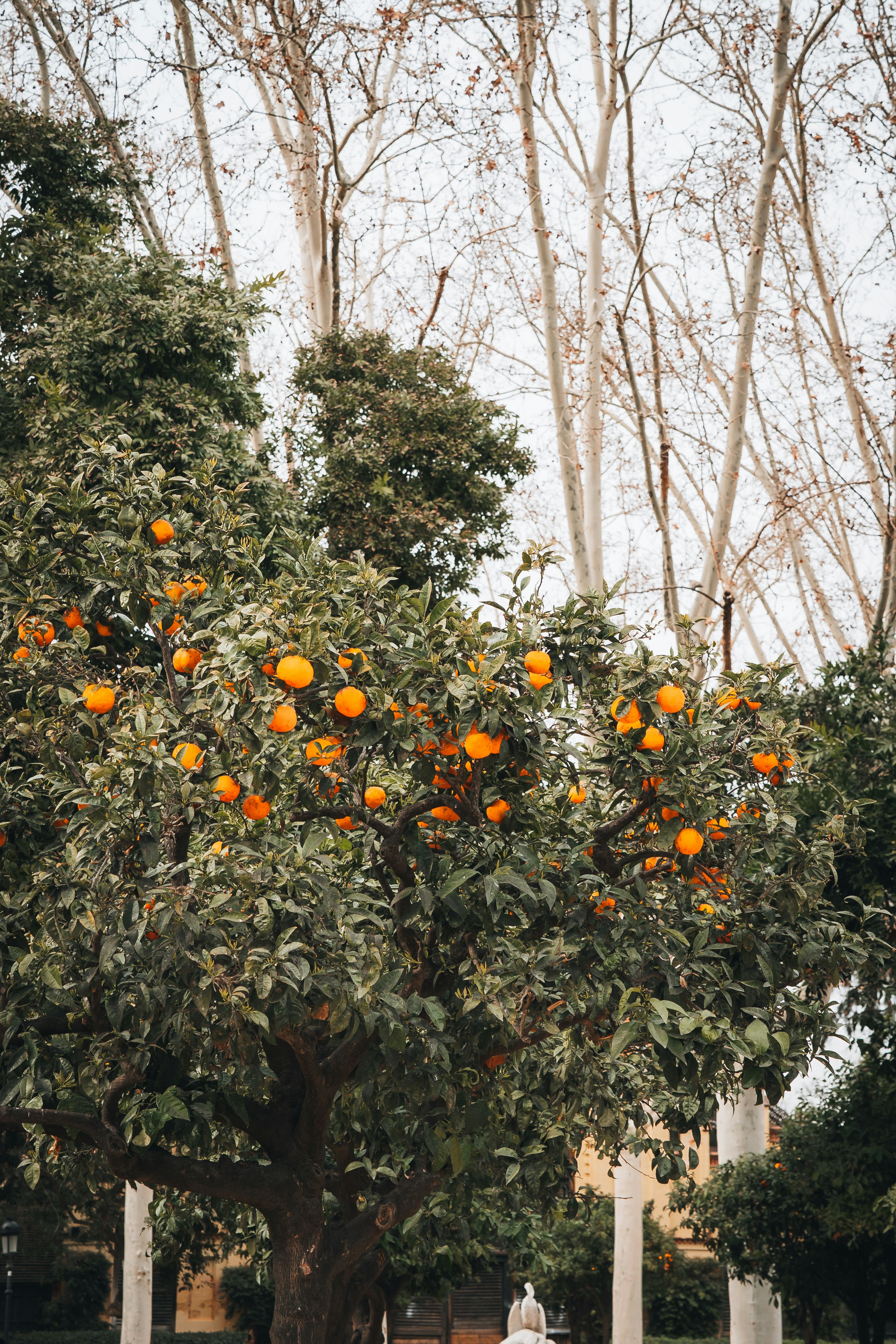 Photo by renate_dreyer