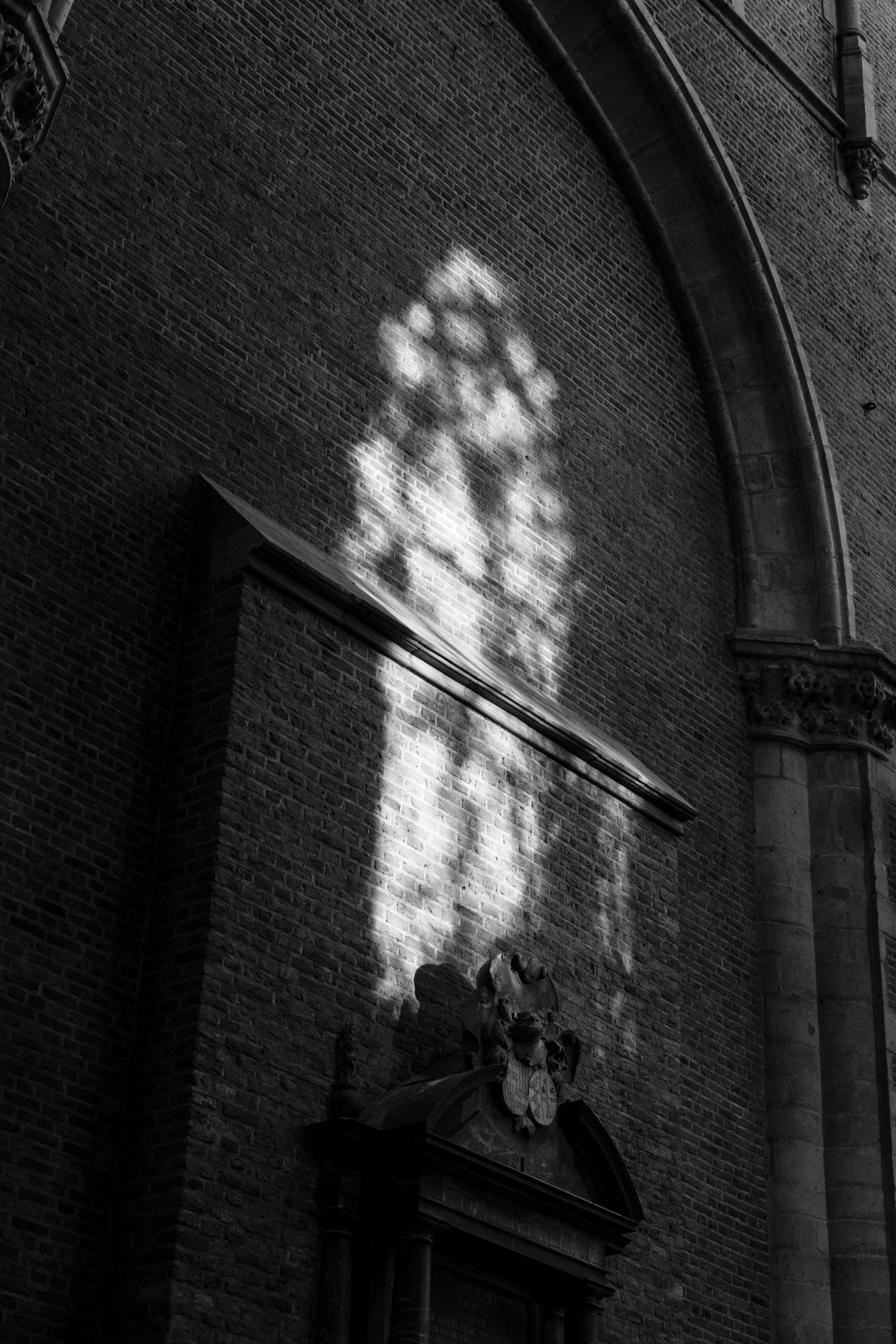 Photo by ronan18