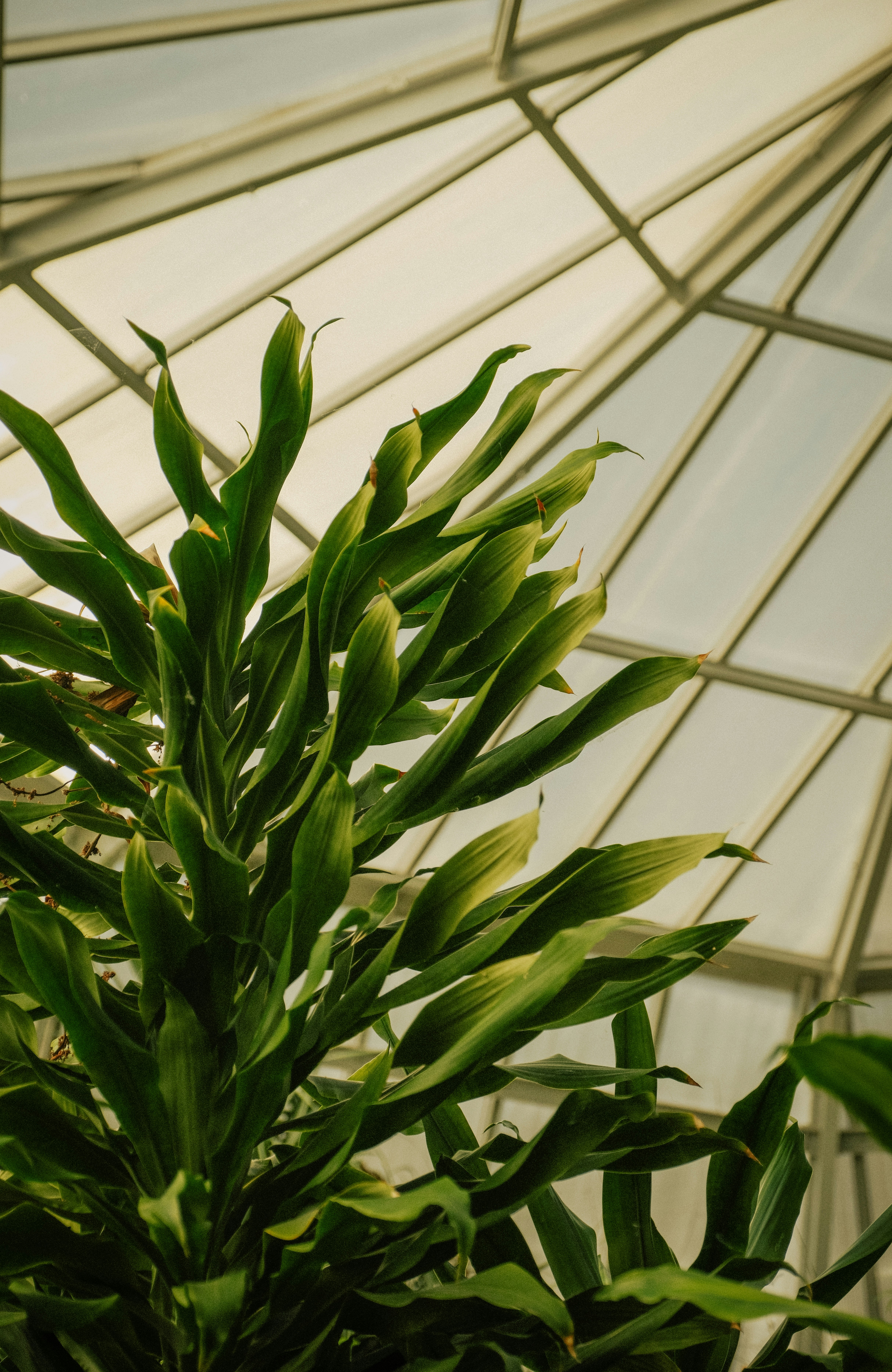 Photo by attic_in_my_mind