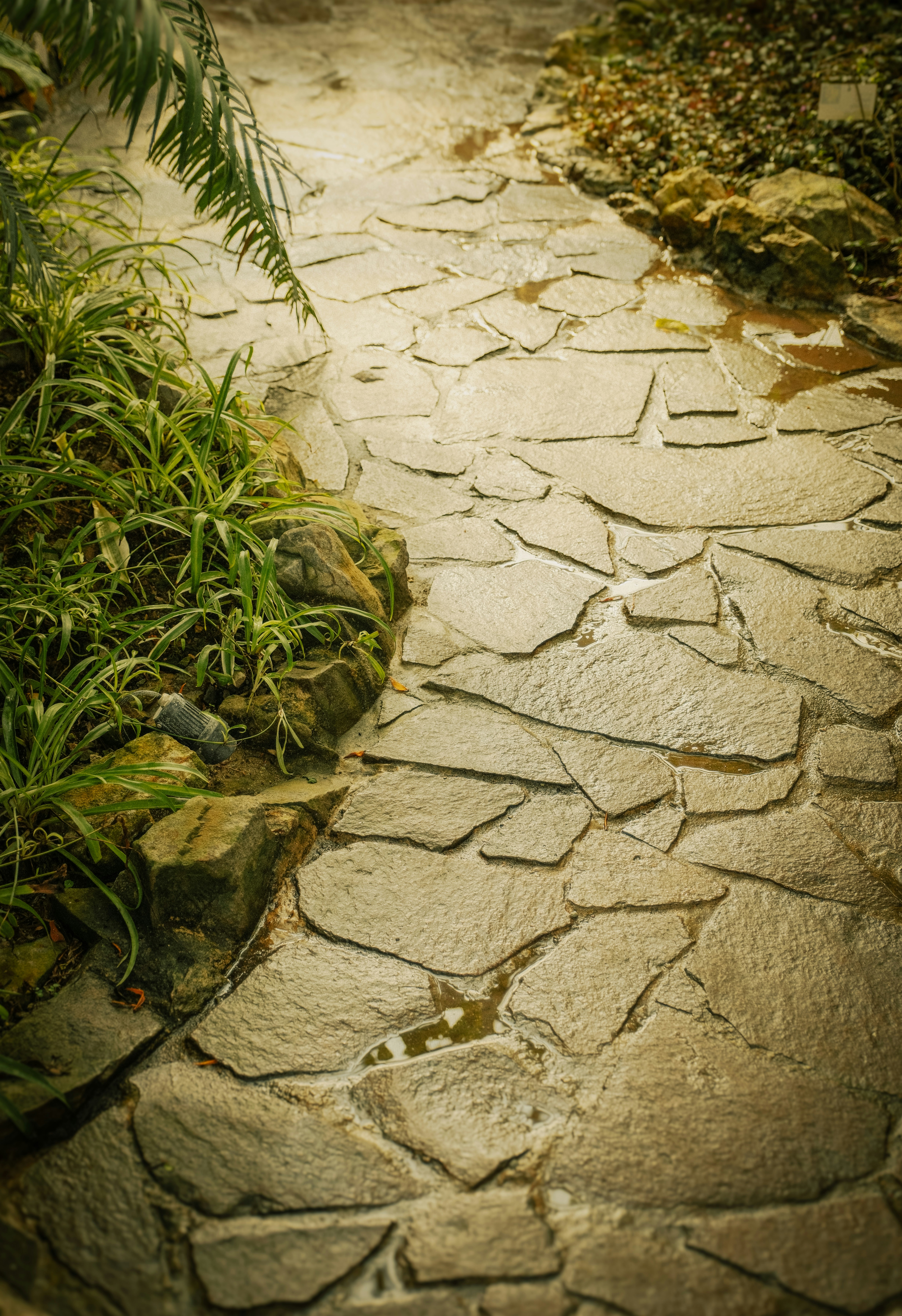 A stone path winds through a lush garden.