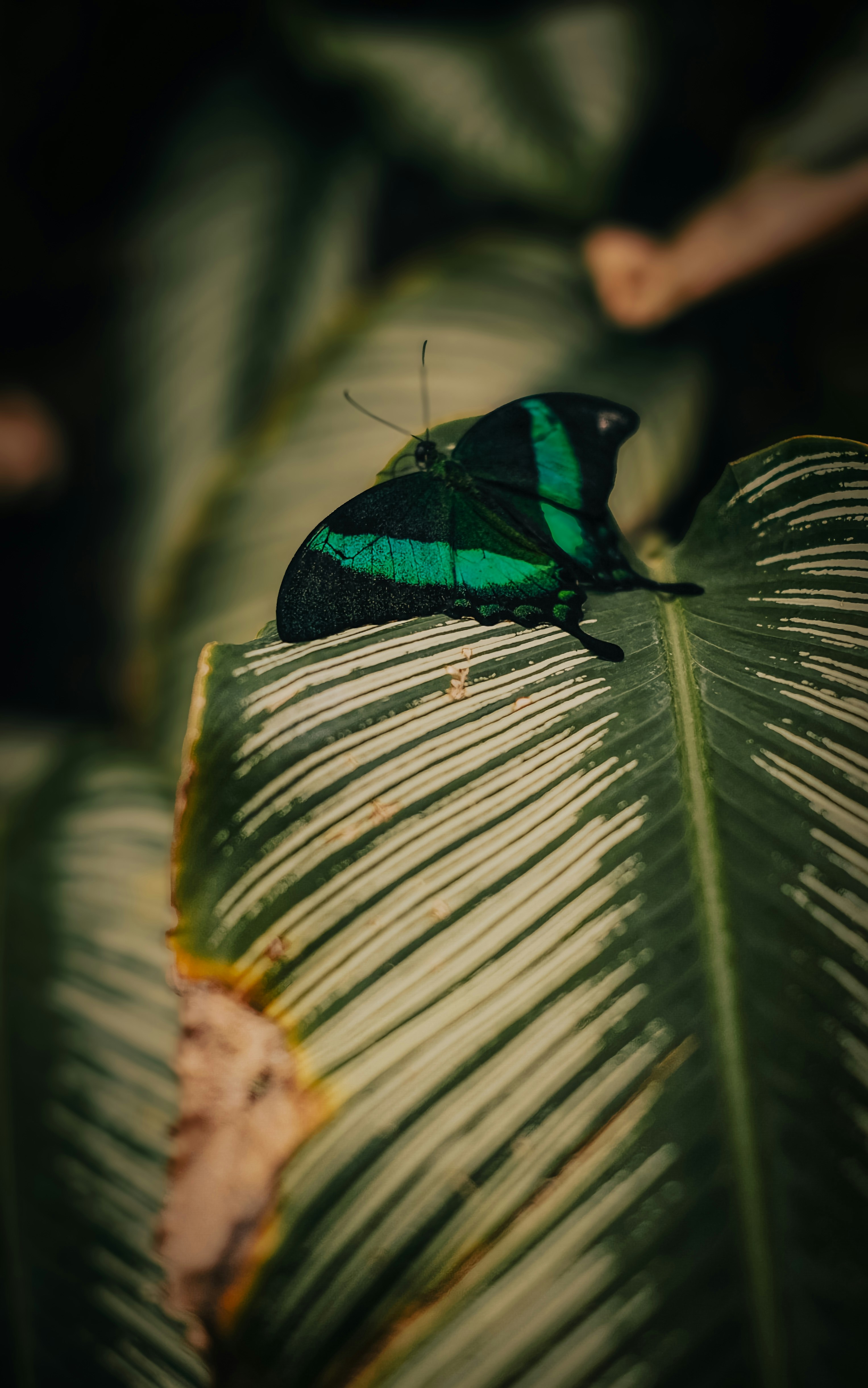 Photo by attic_in_my_mind