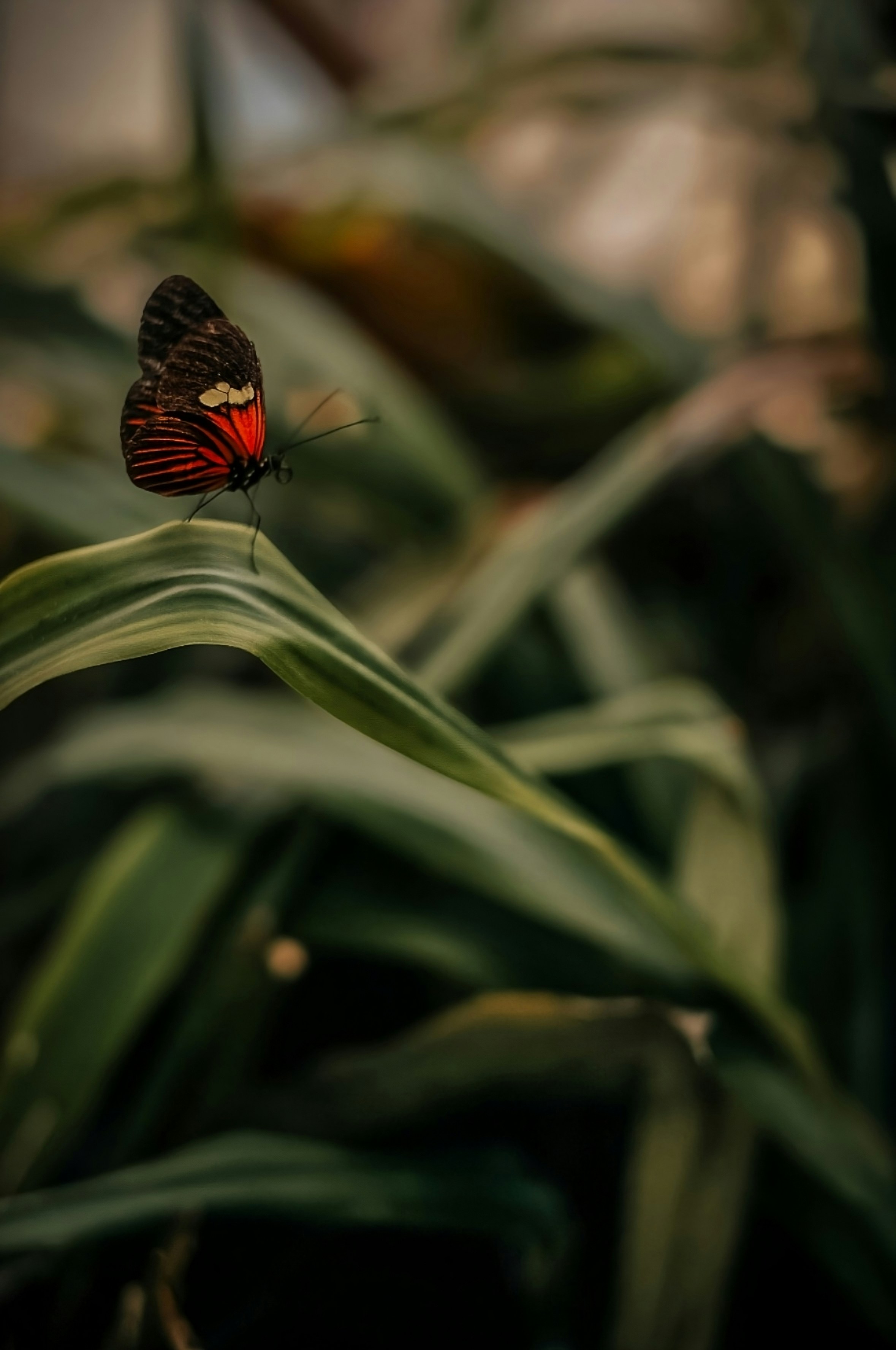 Photo by attic_in_my_mind