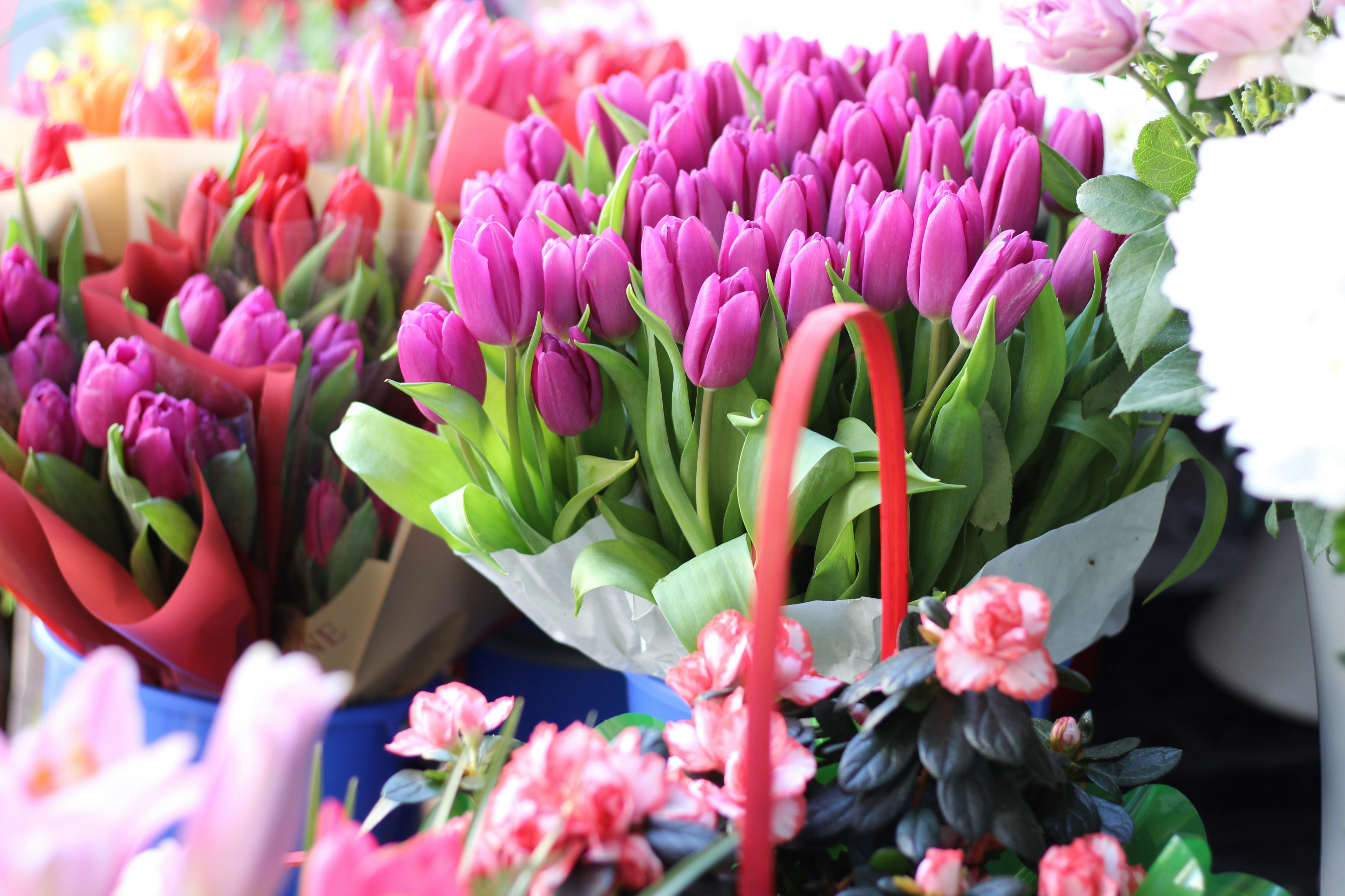 Photo by fotografialuivlad