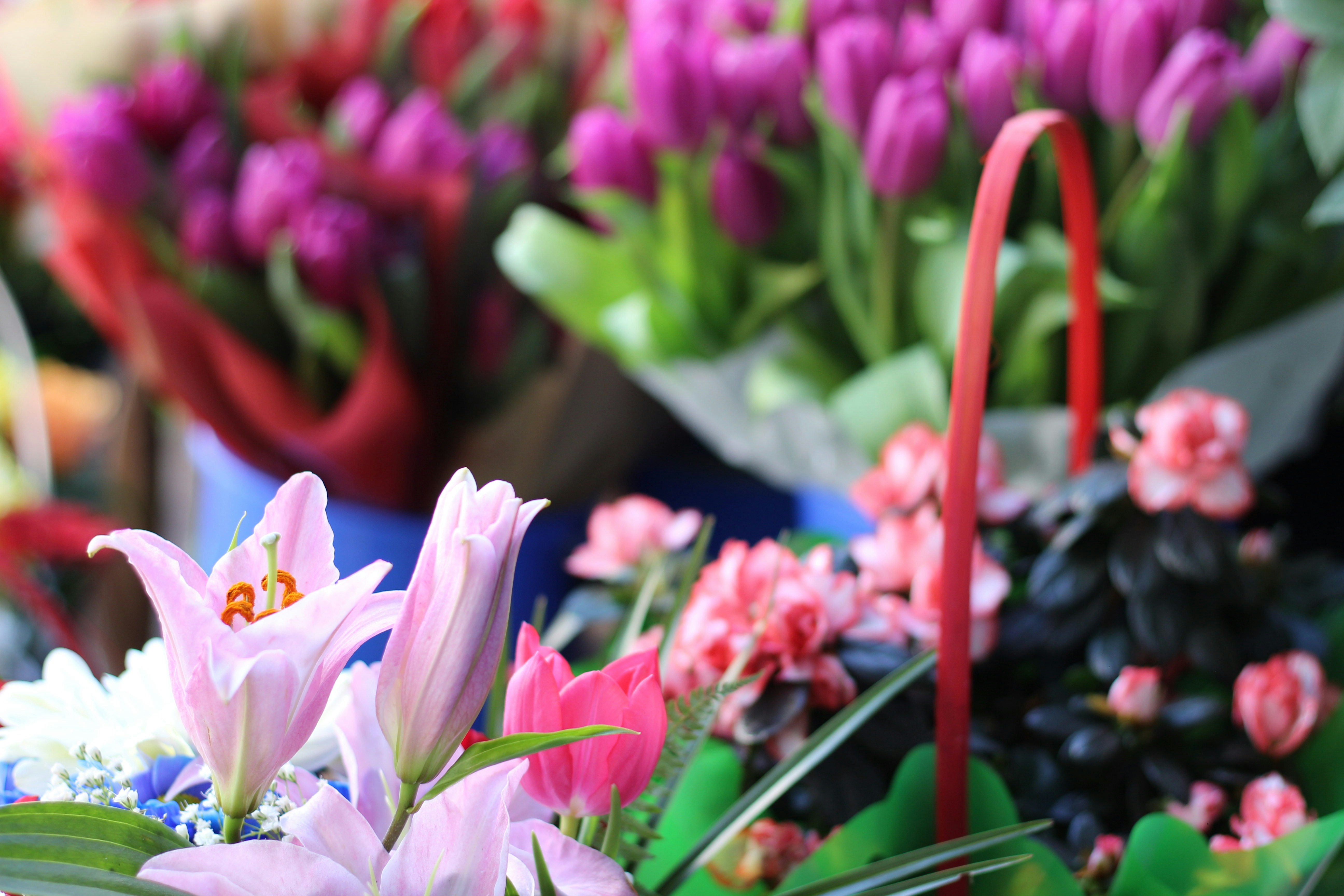 Photo by fotografialuivlad