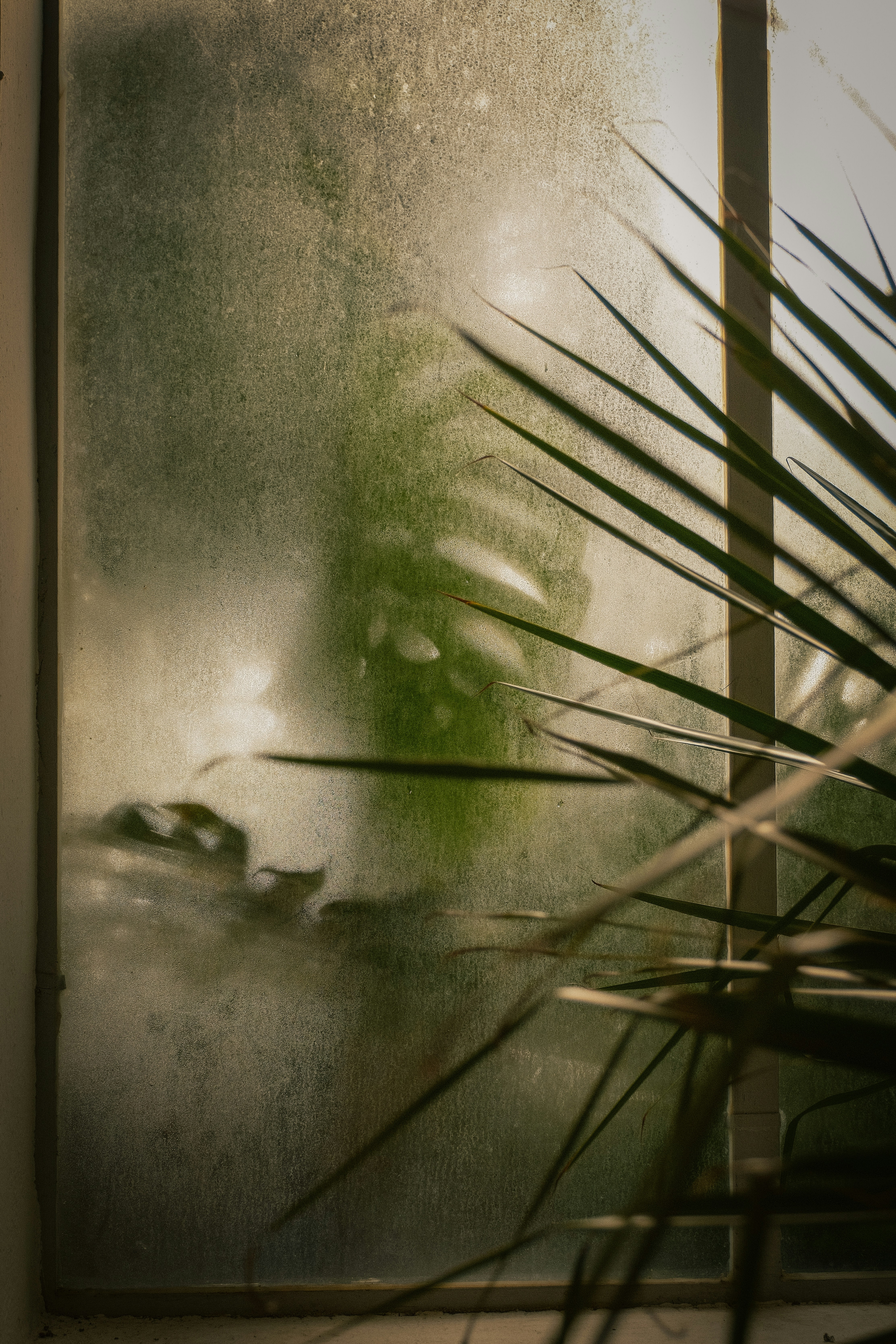 A blurred view through a misty window.