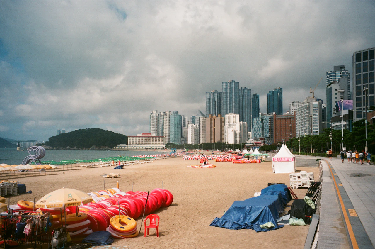 Busan in 3 days: coast, markets and hillside neighborhoods, Tripnatic destination guide