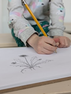 A child draws a botanical illustration of a flower.