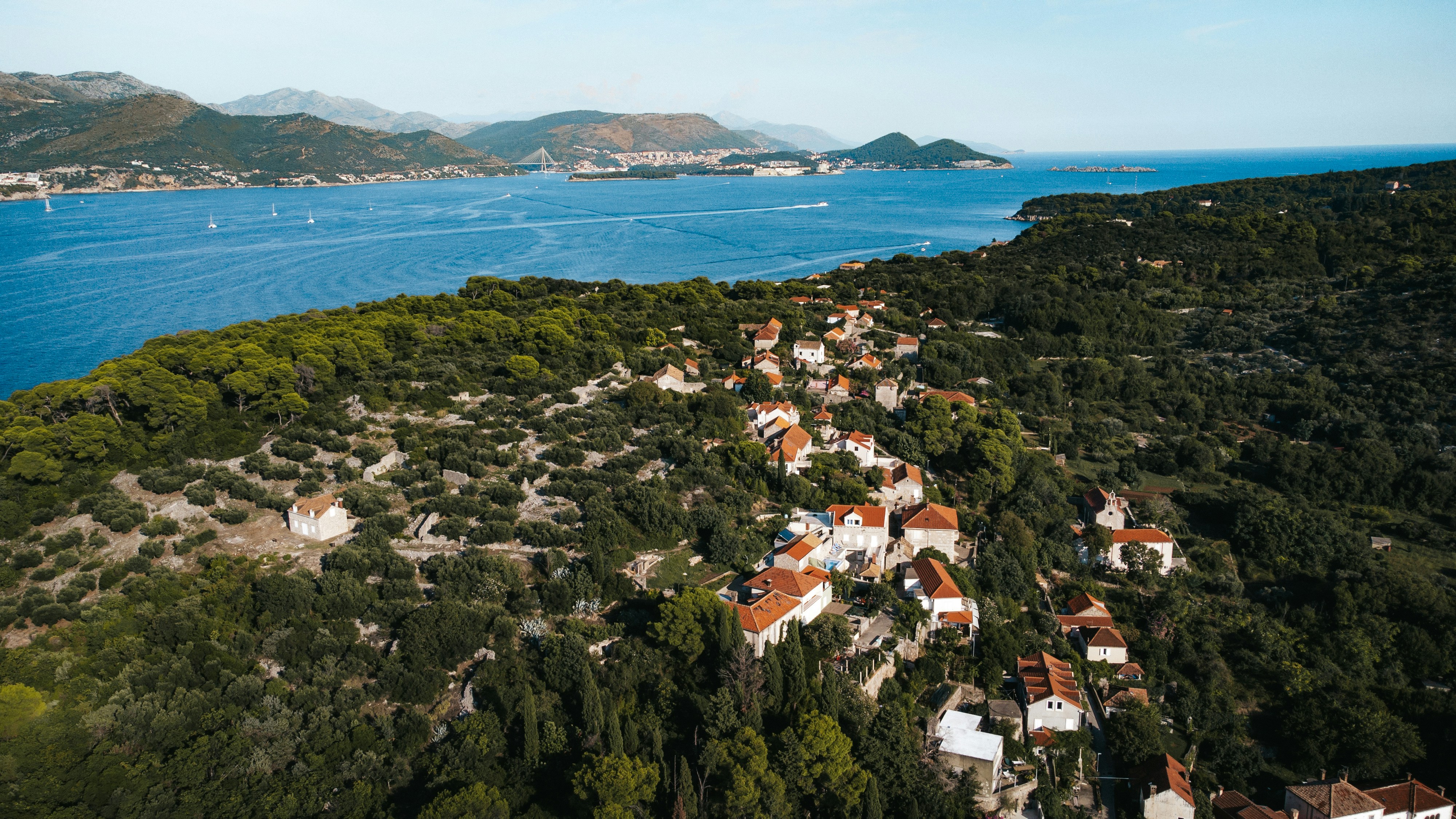 Coastal village nestled between sea and trees.