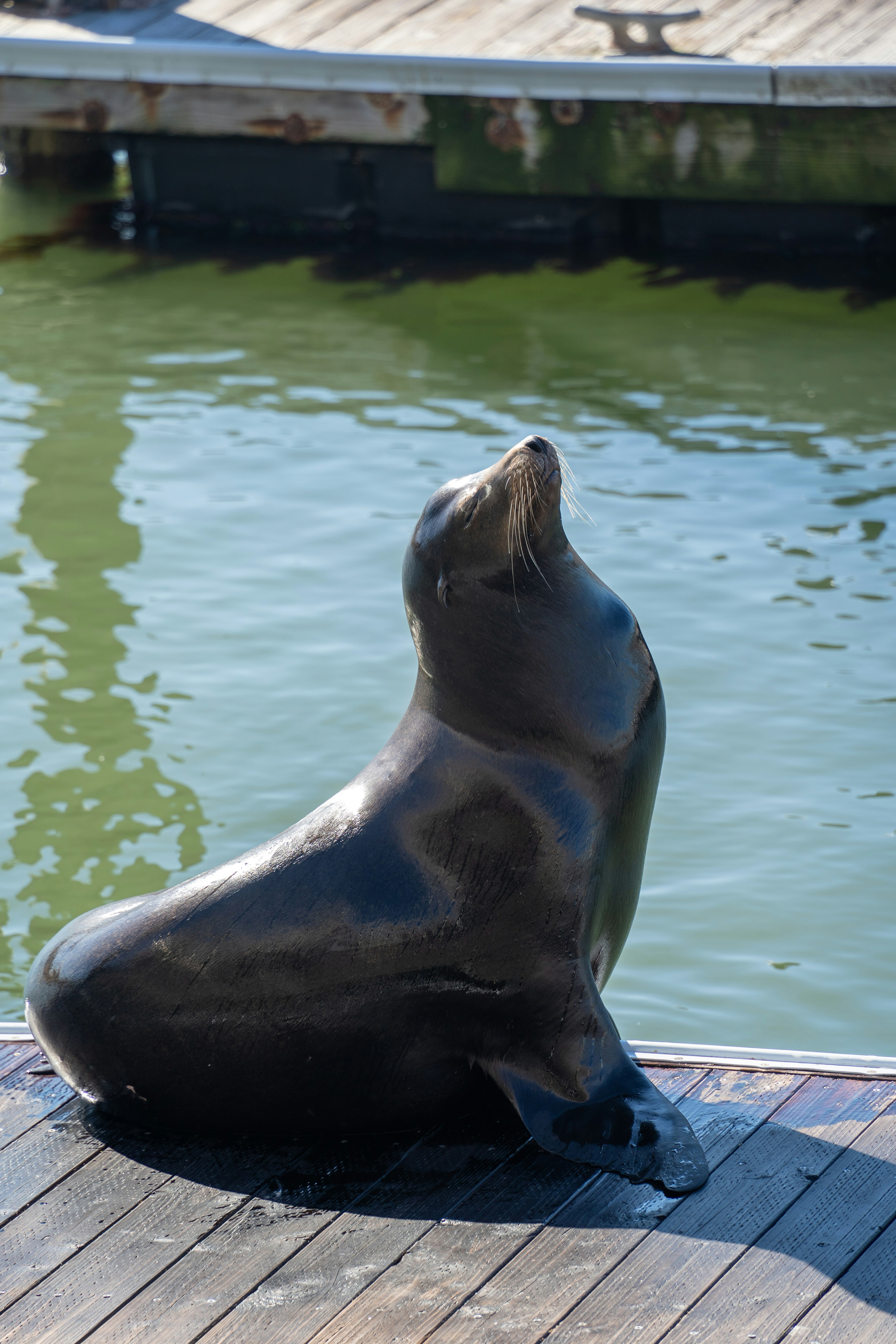 Photo by diegomattevi