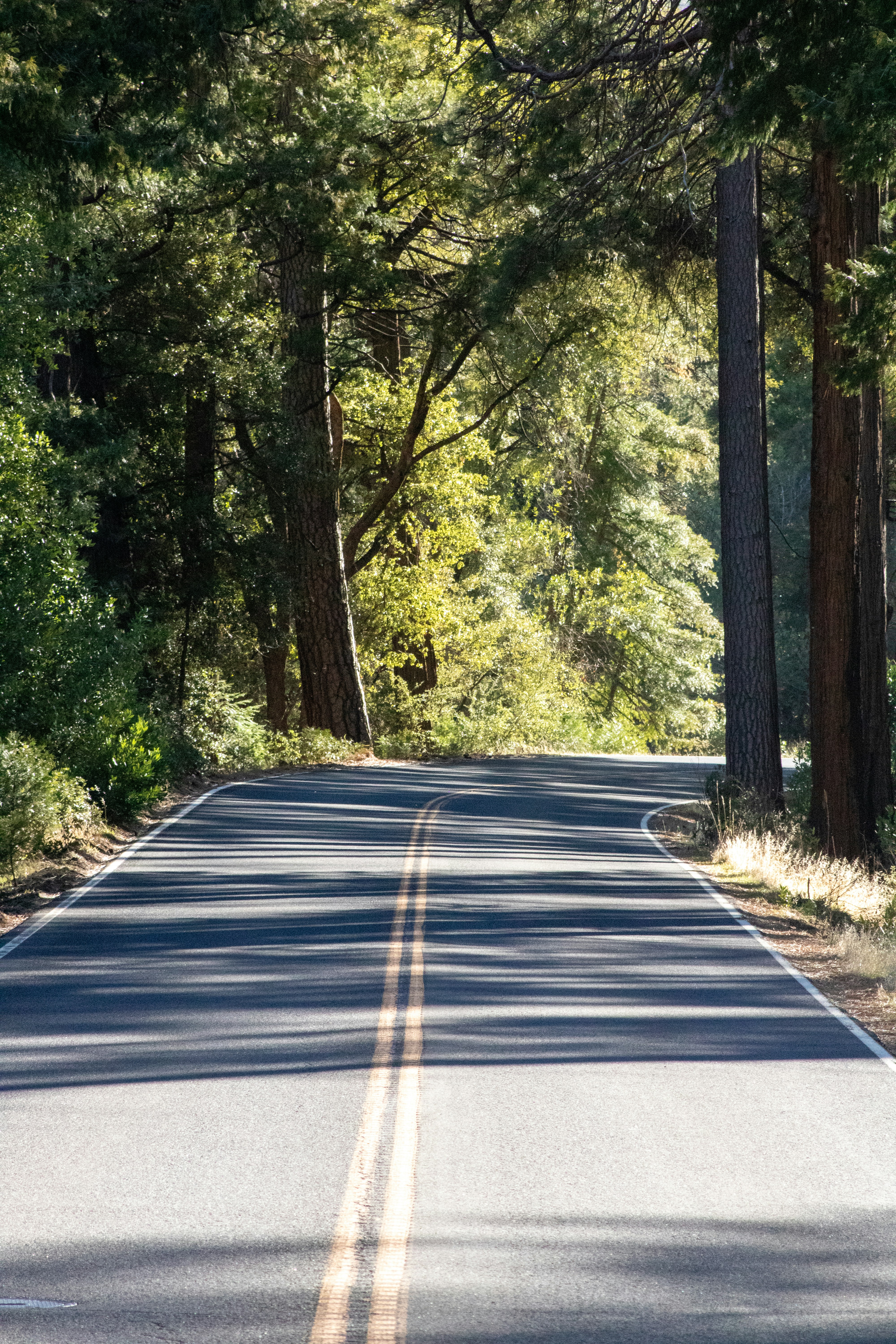 Photo by diegomattevi