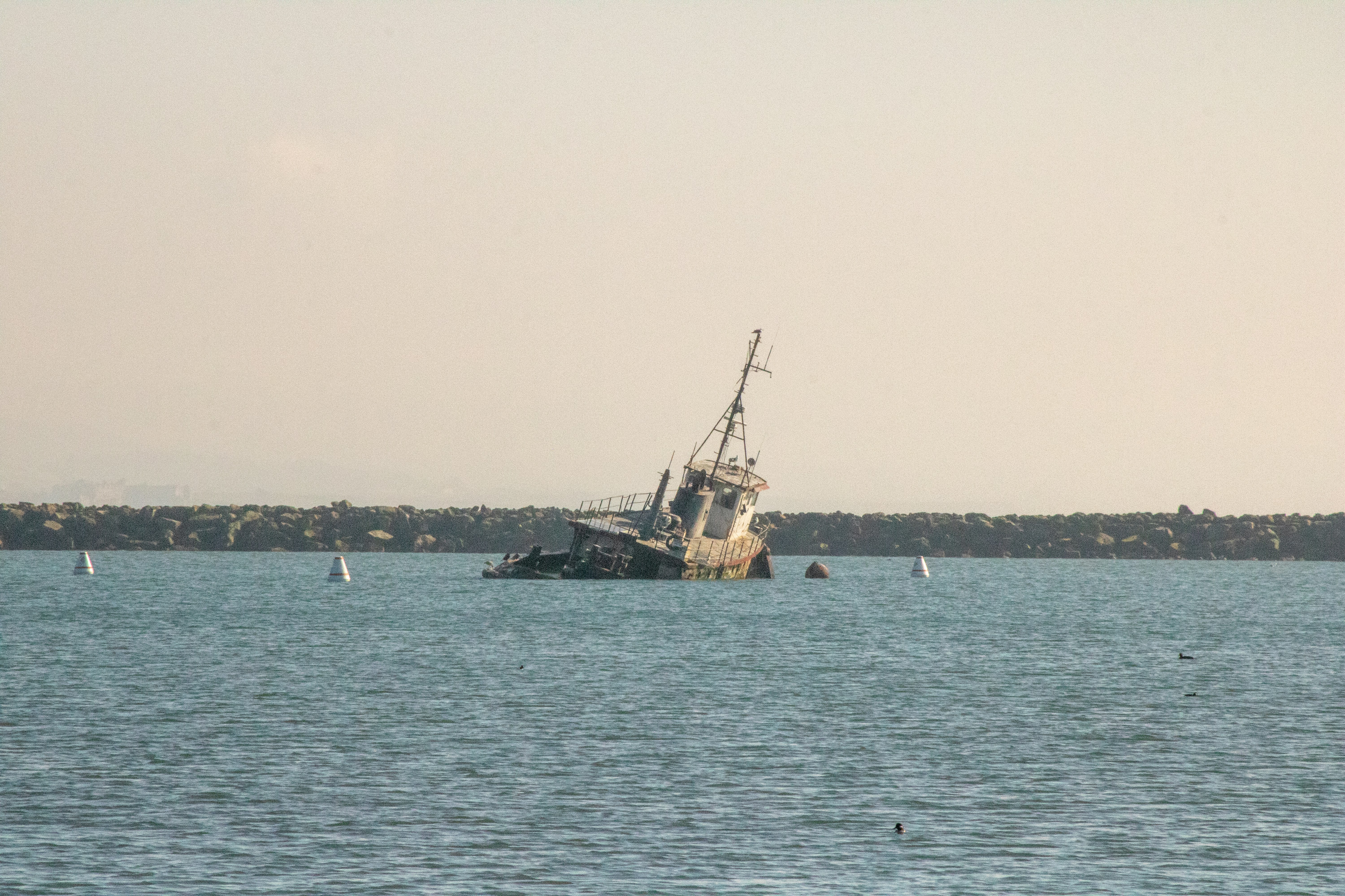 Photo by diegomattevi