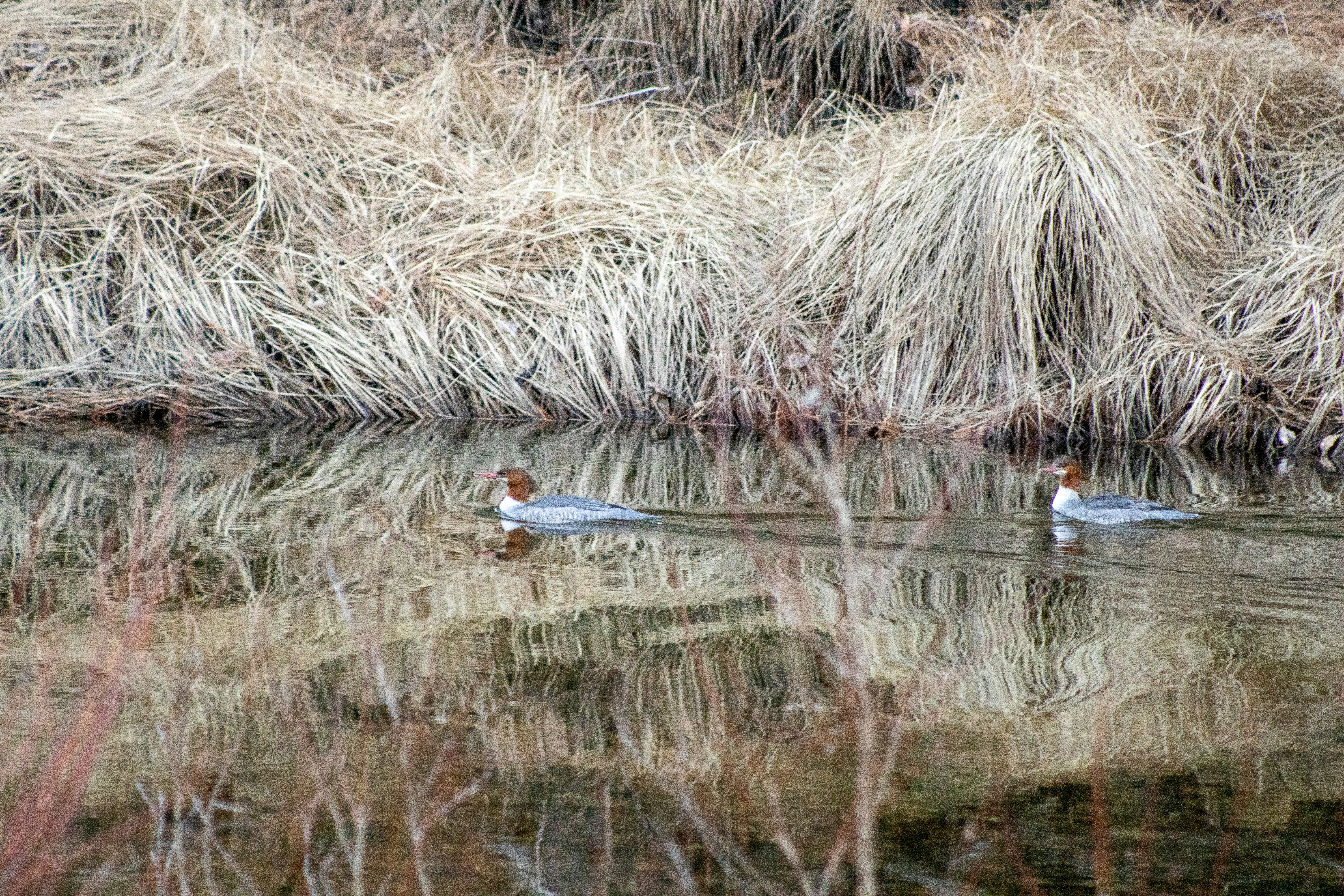 Photo by diegomattevi