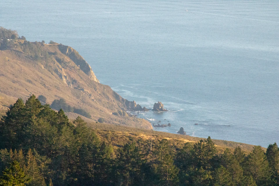 Serene coastal landscape with lush green trees and shrubs covering a cliff overlooking water