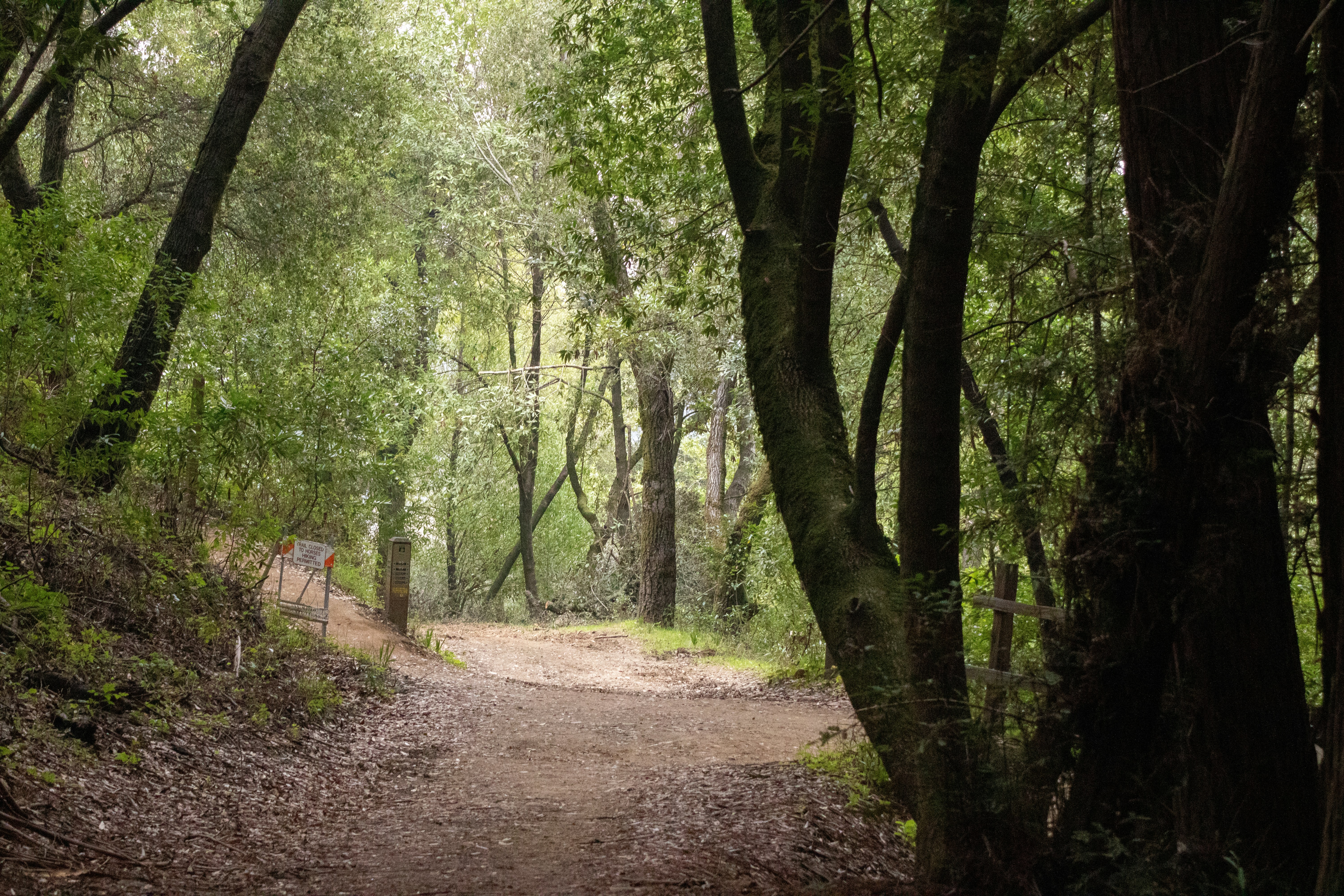 Photo by diegomattevi