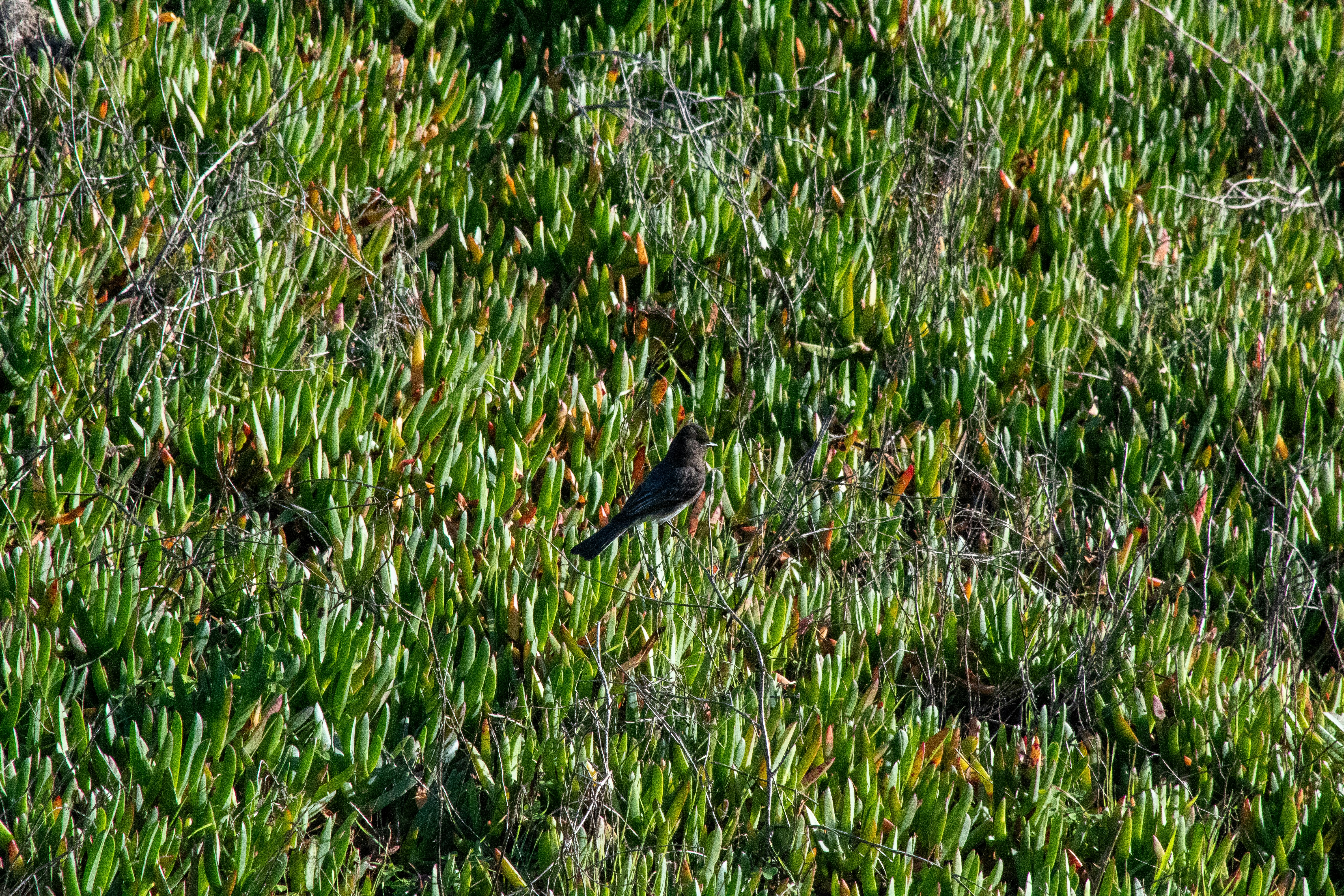 Photo by diegomattevi