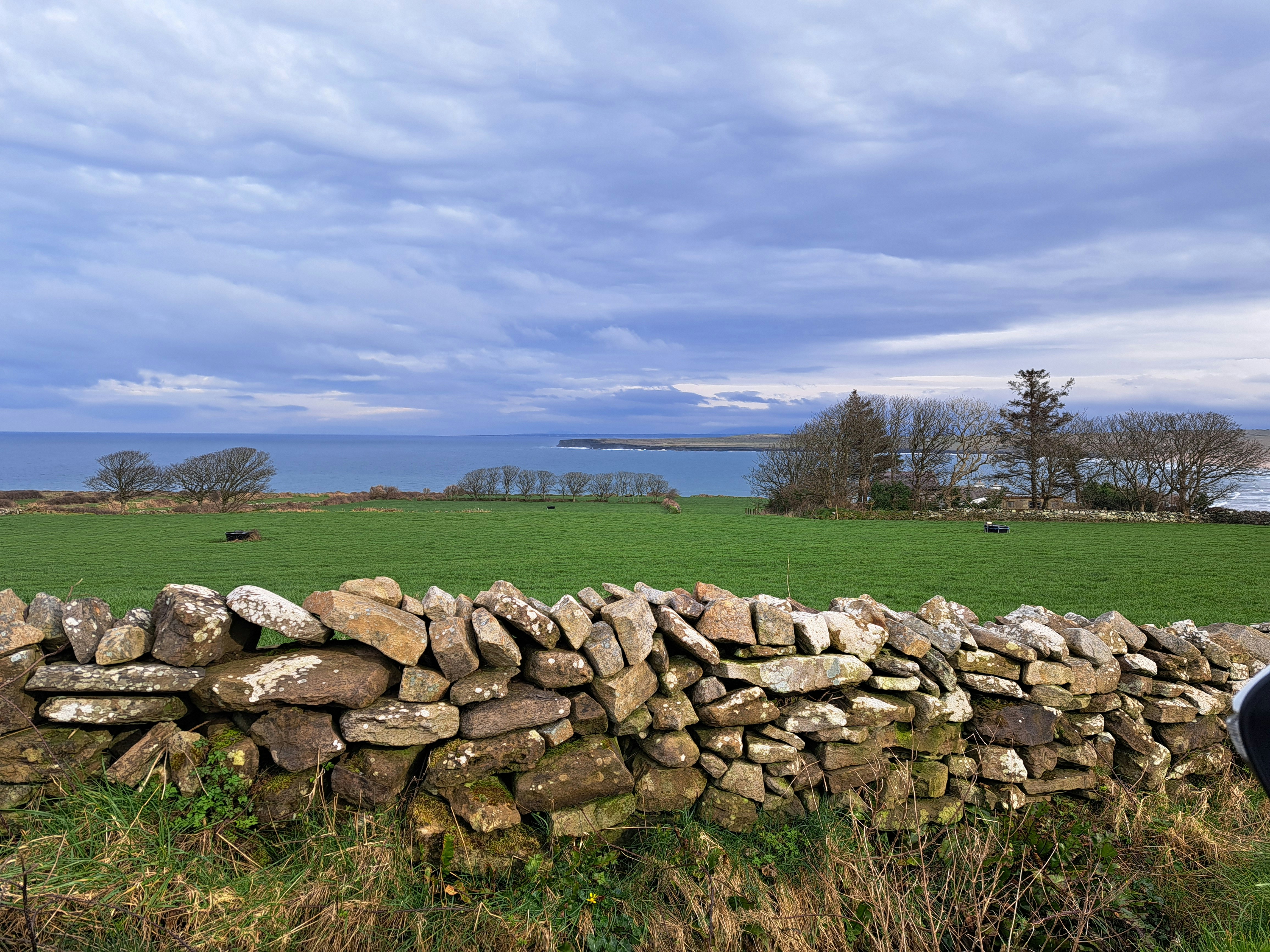 A stone wall separates the green field and the sea.