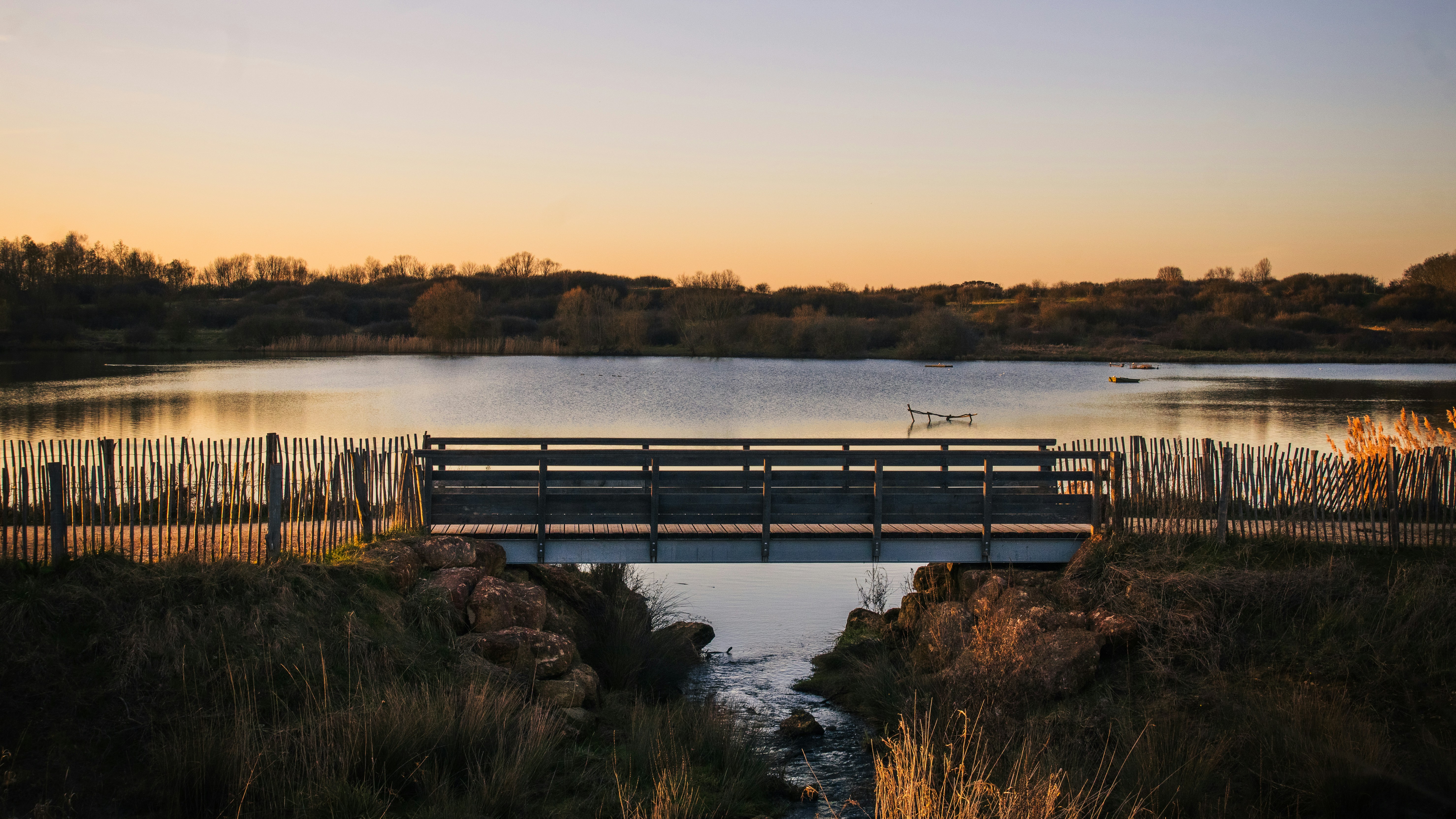 Photo by nyhasinavalona