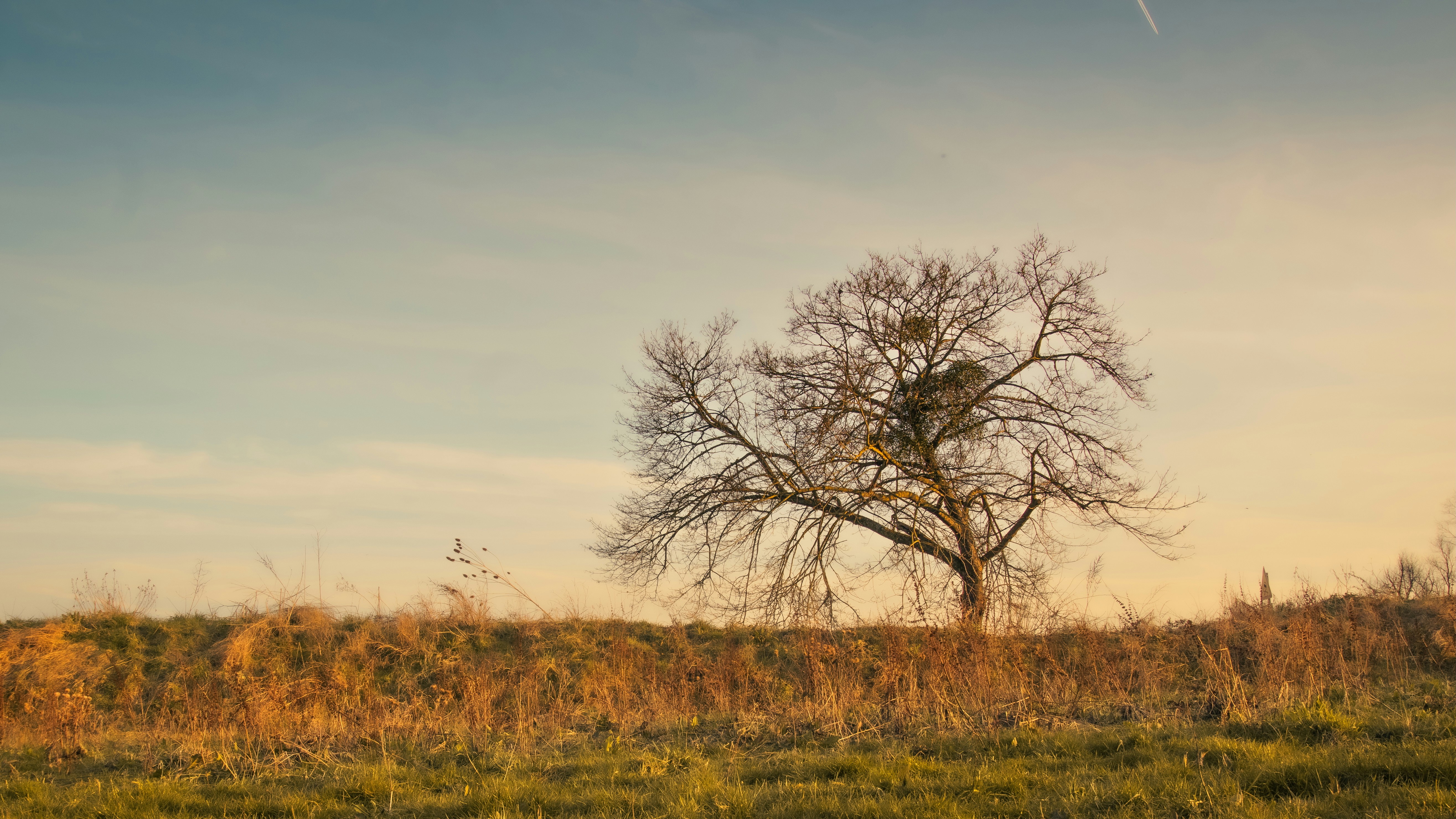 Photo by nyhasinavalona