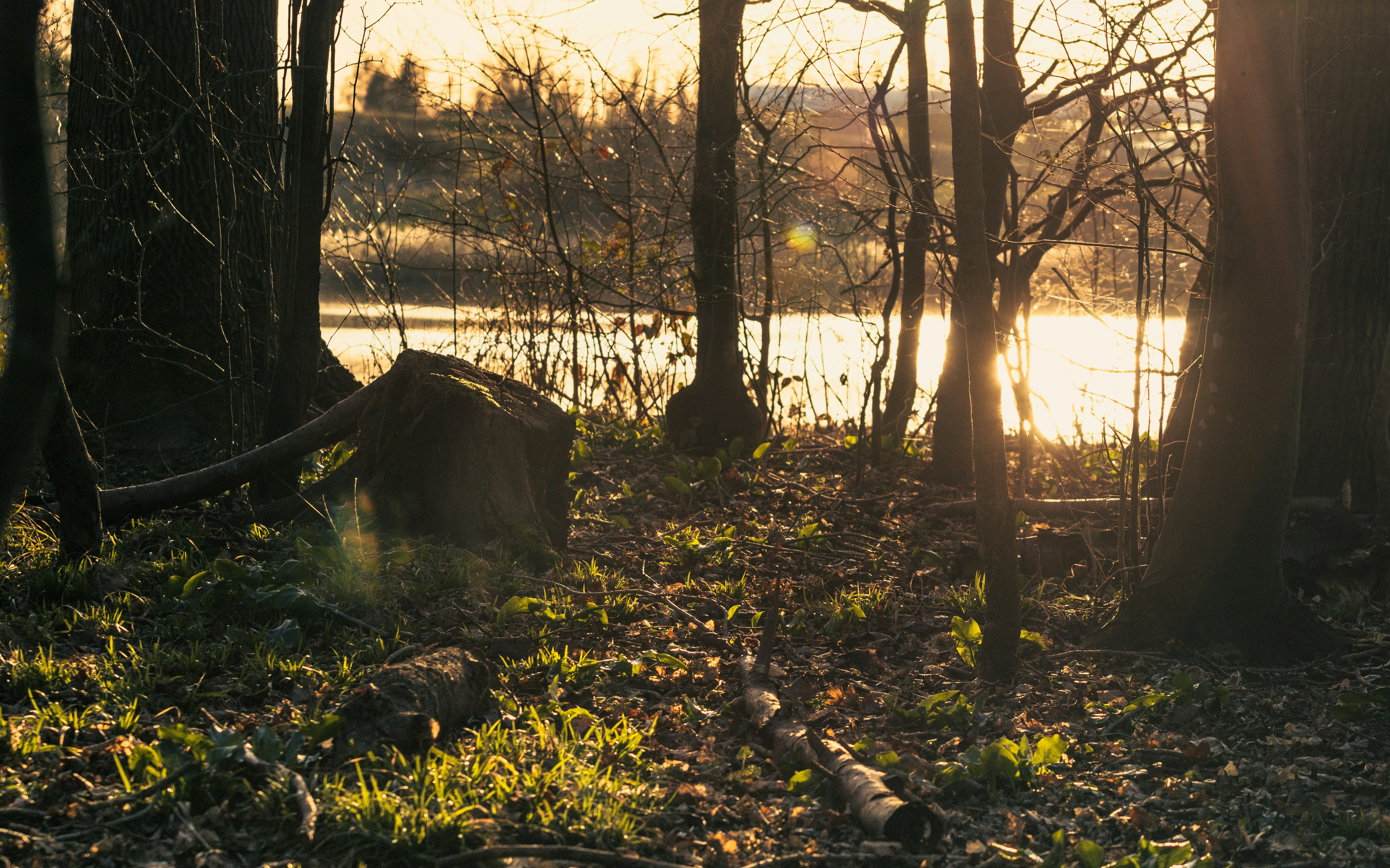 Photo by nyhasinavalona