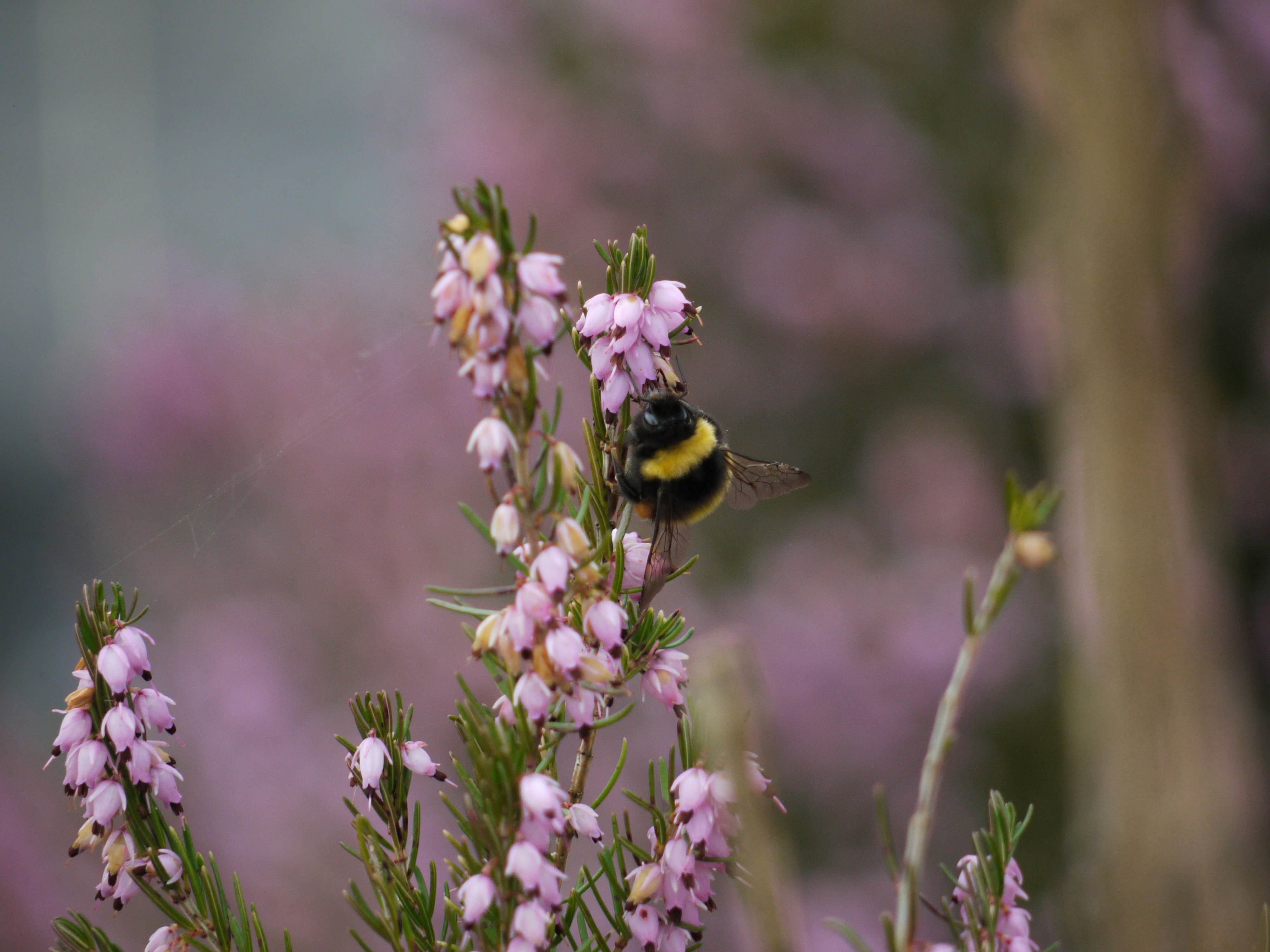 Photo by funen99
