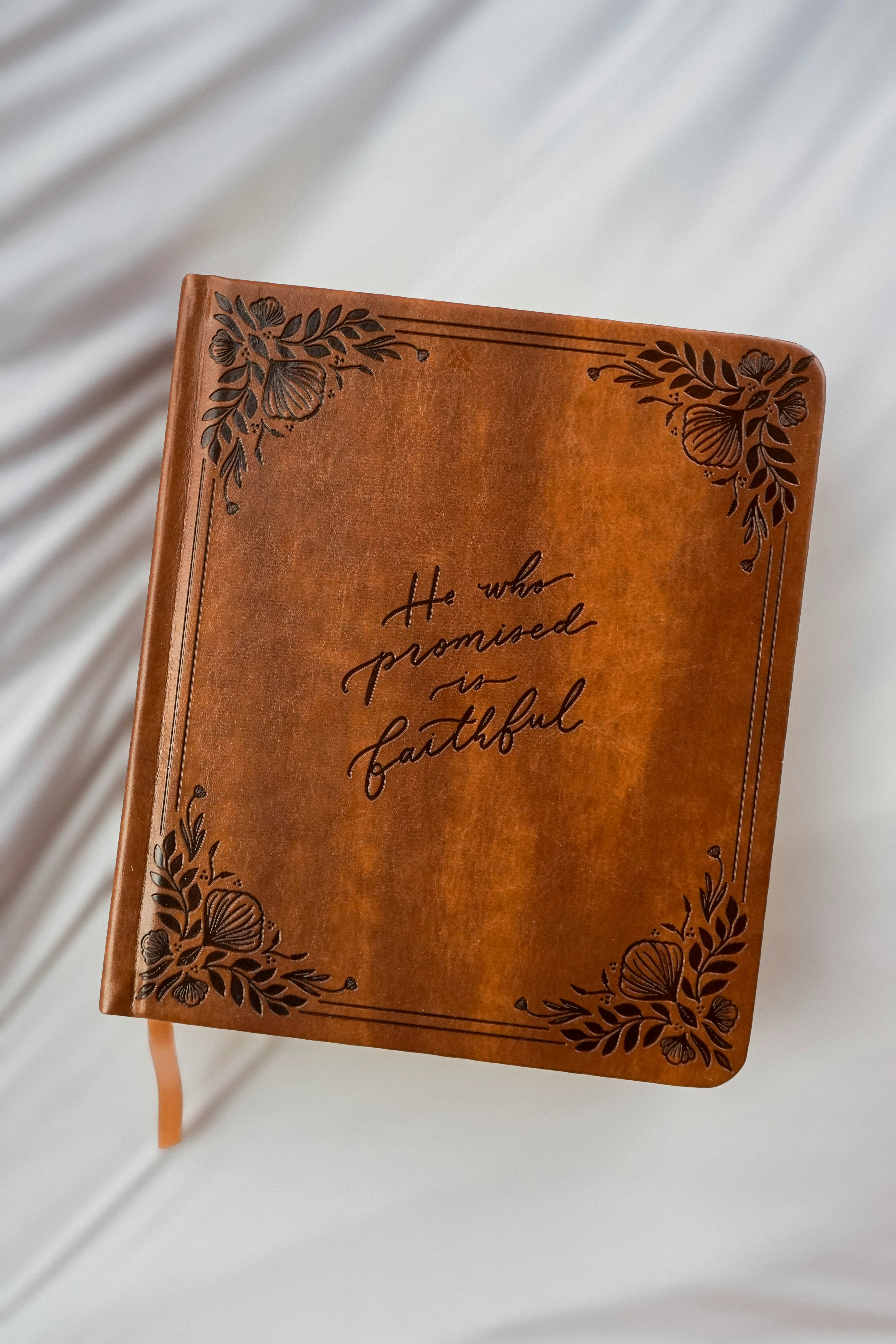 Photo by wolff_photography