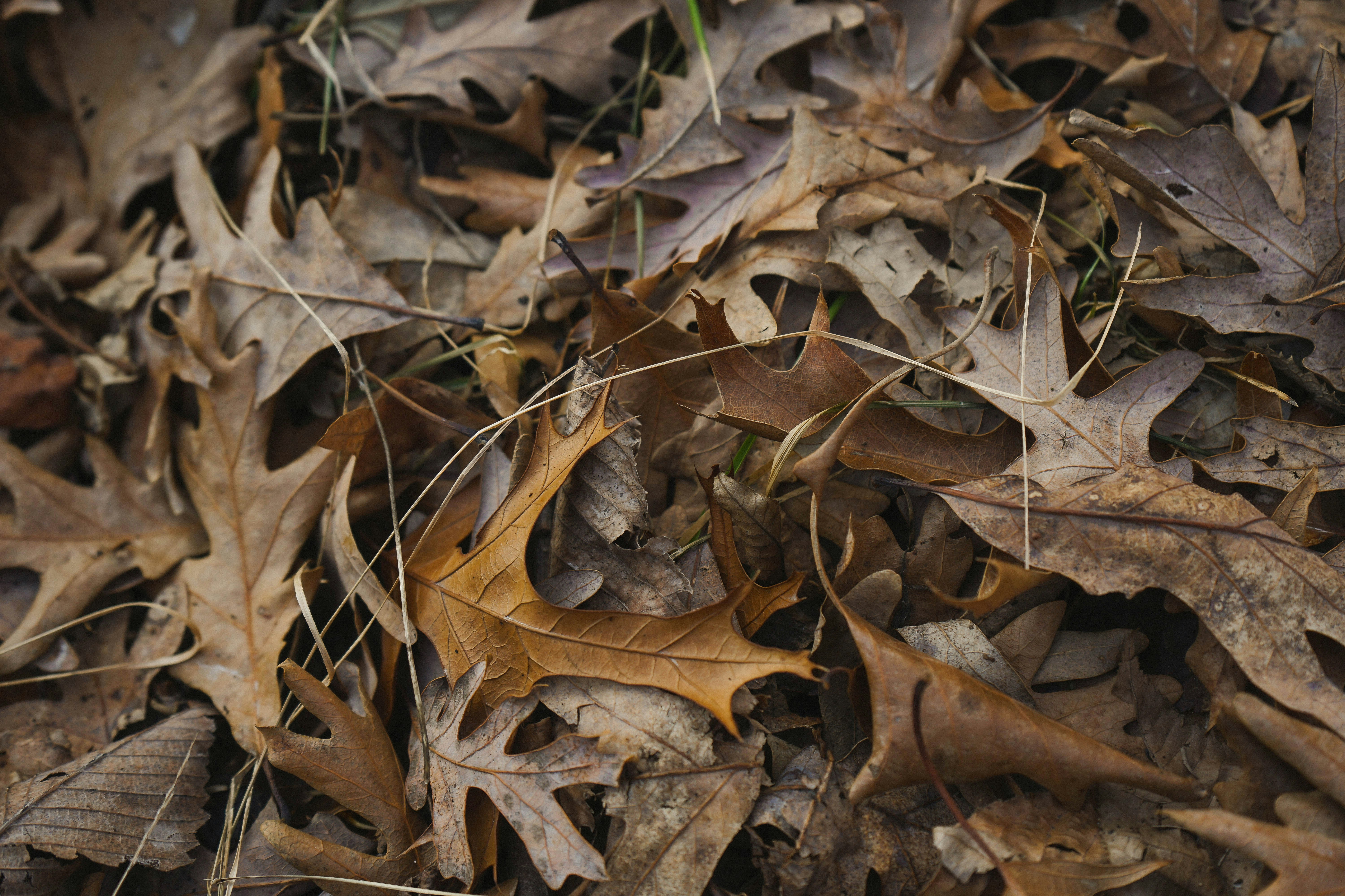 Photo by wolff_photography